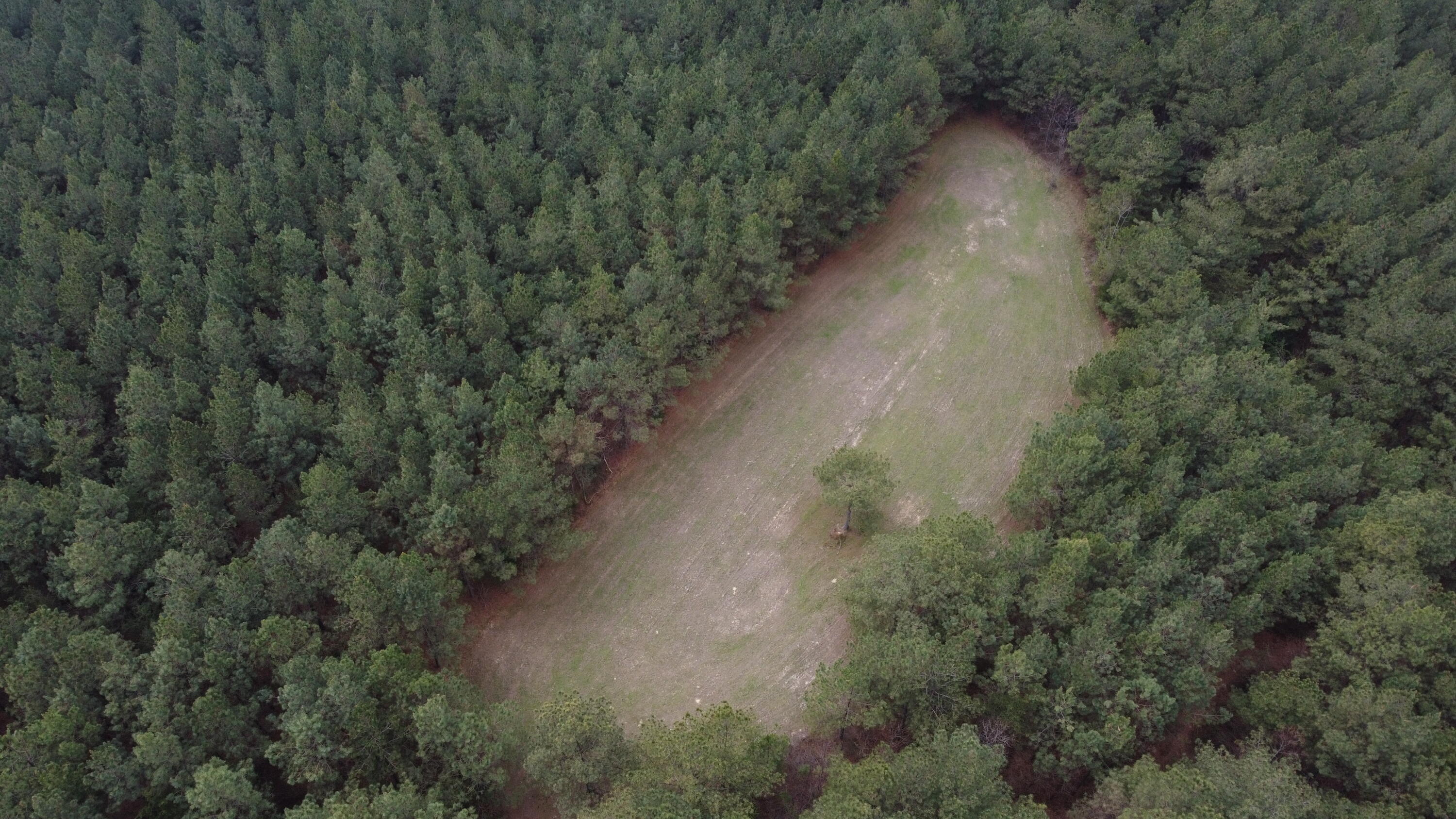 1211 Stooping Oak Road West Dunlap, TN 37327 - Photo 49 of 112 Photo Mar 26 2026, 1 51 44 PM