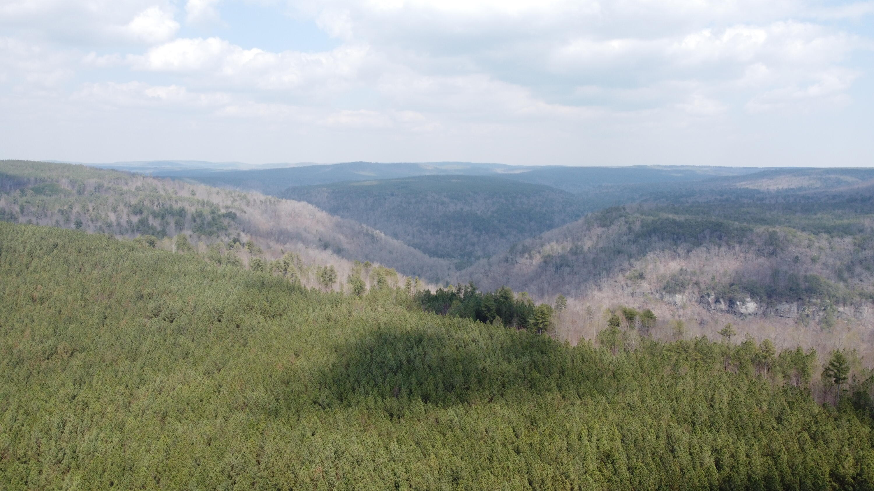 1211 Stooping Oak Road West Dunlap, TN 37327 - Photo 50 of 112 Photo Mar 26 2026, 1 52 06 PM