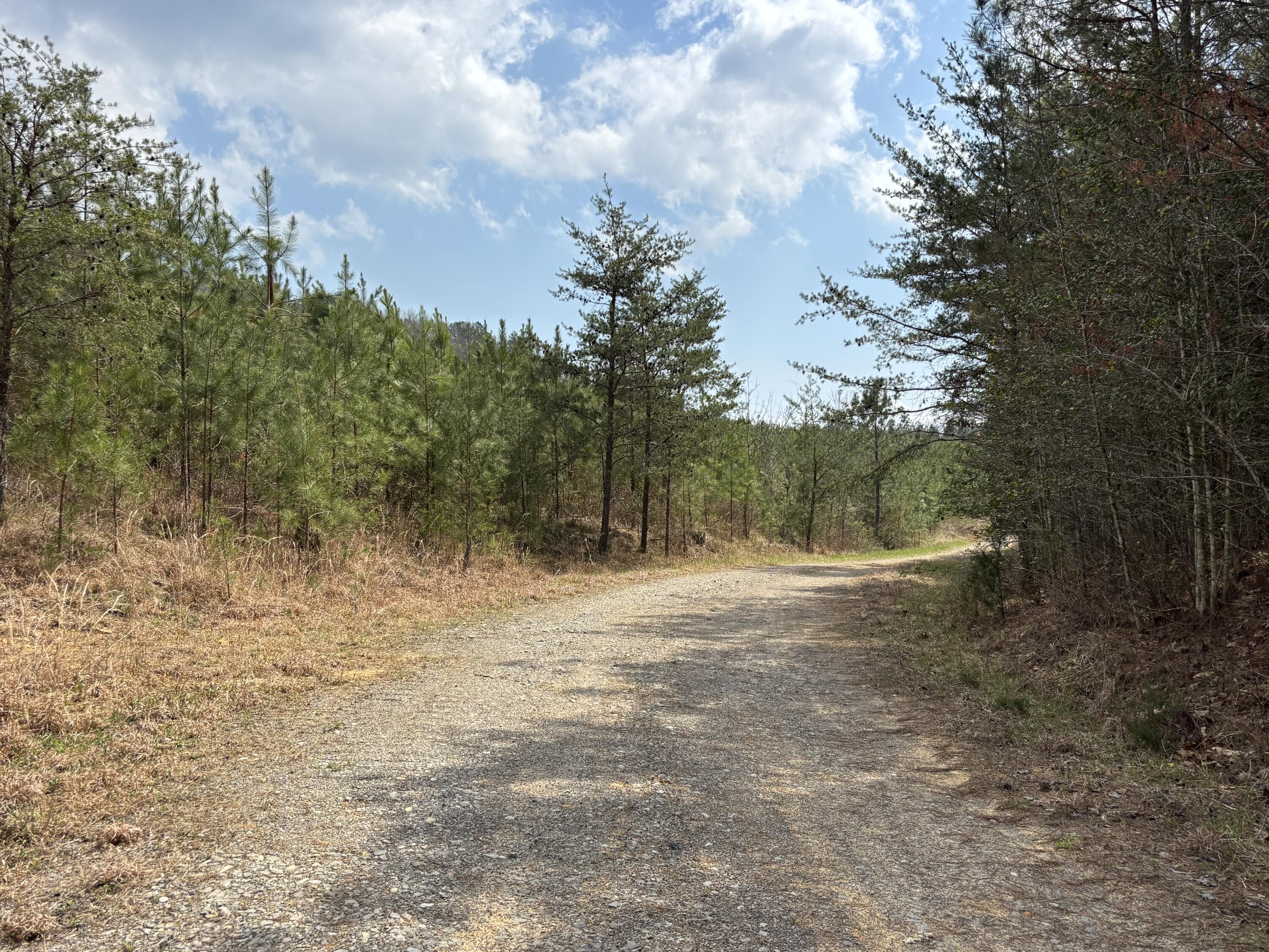 1211 Stooping Oak Road West Dunlap, TN 37327 - Photo 5 of 112 Photo Mar 26 2026, 1 04 51 PM