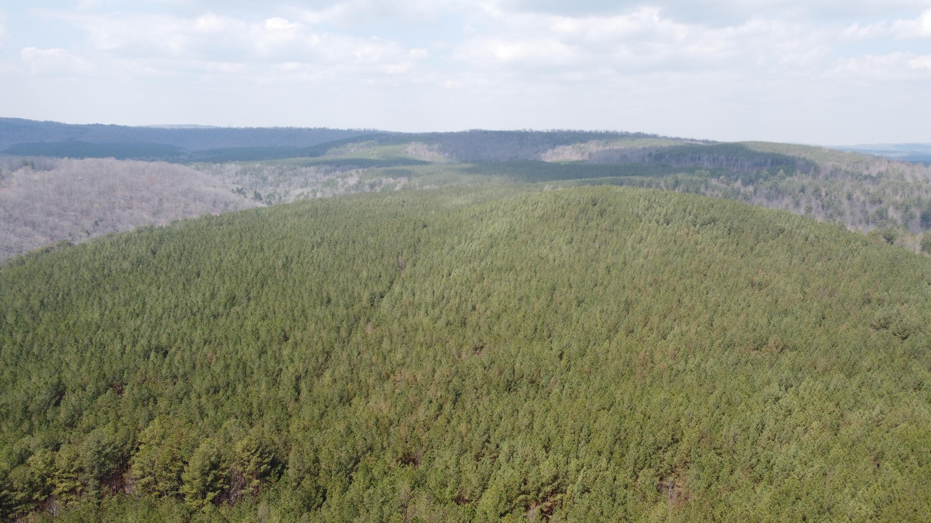 1211 Stooping Oak Road West Dunlap, TN 37327 - Photo 51 of 112 Photo Mar 26 2026, 1 52 12 PM