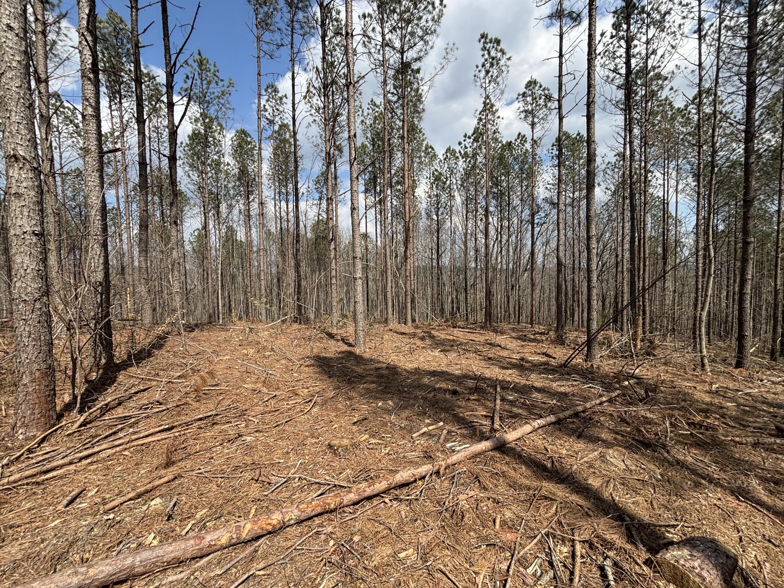 1211 Stooping Oak Road West Dunlap, TN 37327 - Photo 54 of 112 Photo Mar 26 2026, 2 20 49 PM