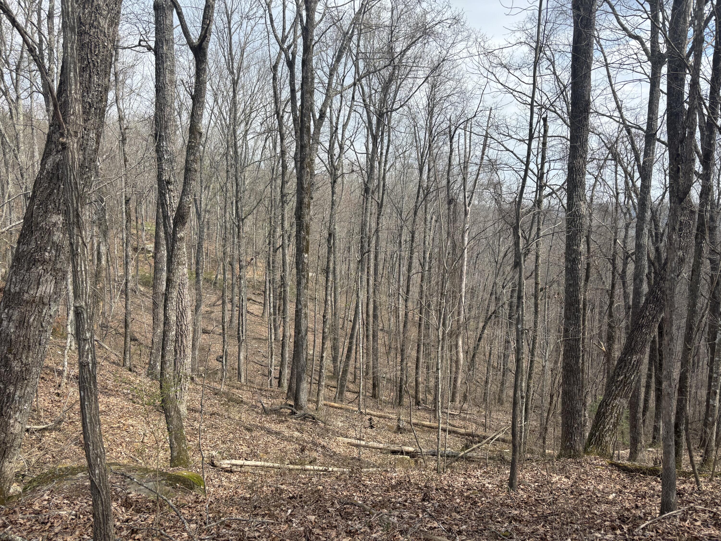 1211 Stooping Oak Road West Dunlap, TN 37327 - Photo 56 of 112 Photo Mar 26 2026, 12 21 18 PM