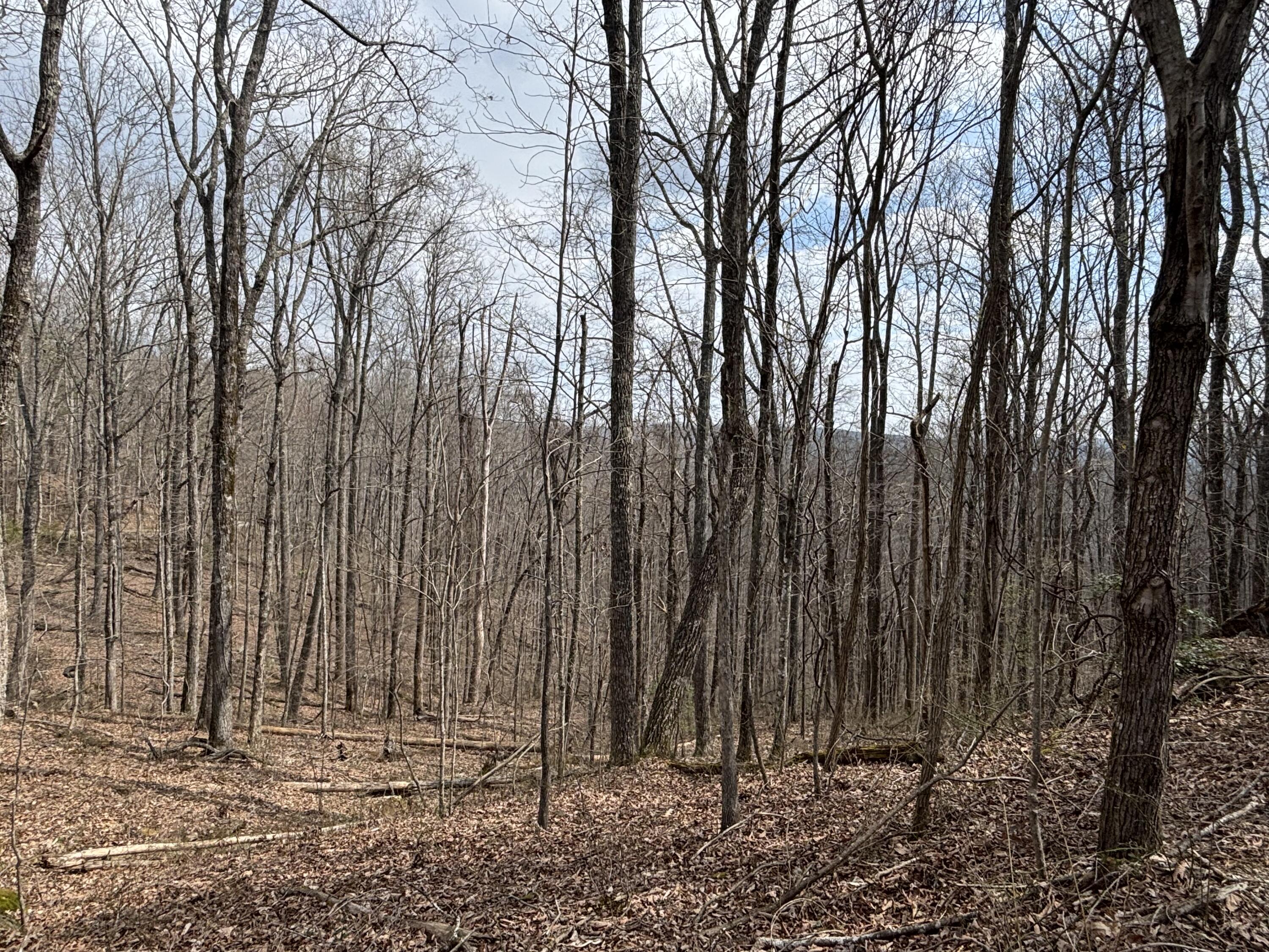 1211 Stooping Oak Road West Dunlap, TN 37327 - Photo 57 of 112 Photo Mar 26 2026, 12 21 23 PM