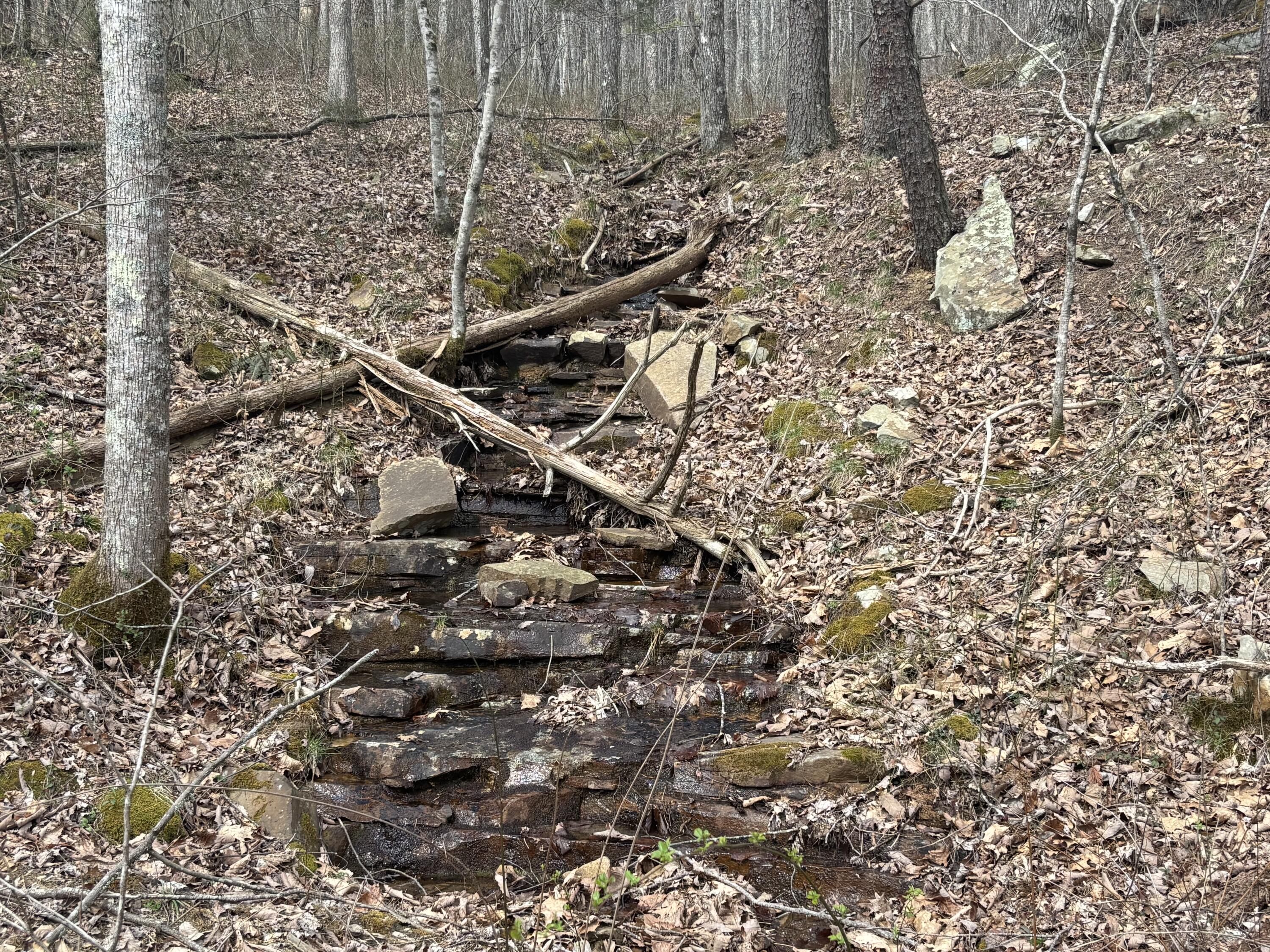 1211 Stooping Oak Road West Dunlap, TN 37327 - Photo 58 of 112 Photo Mar 26 2026, 12 26 13 PM