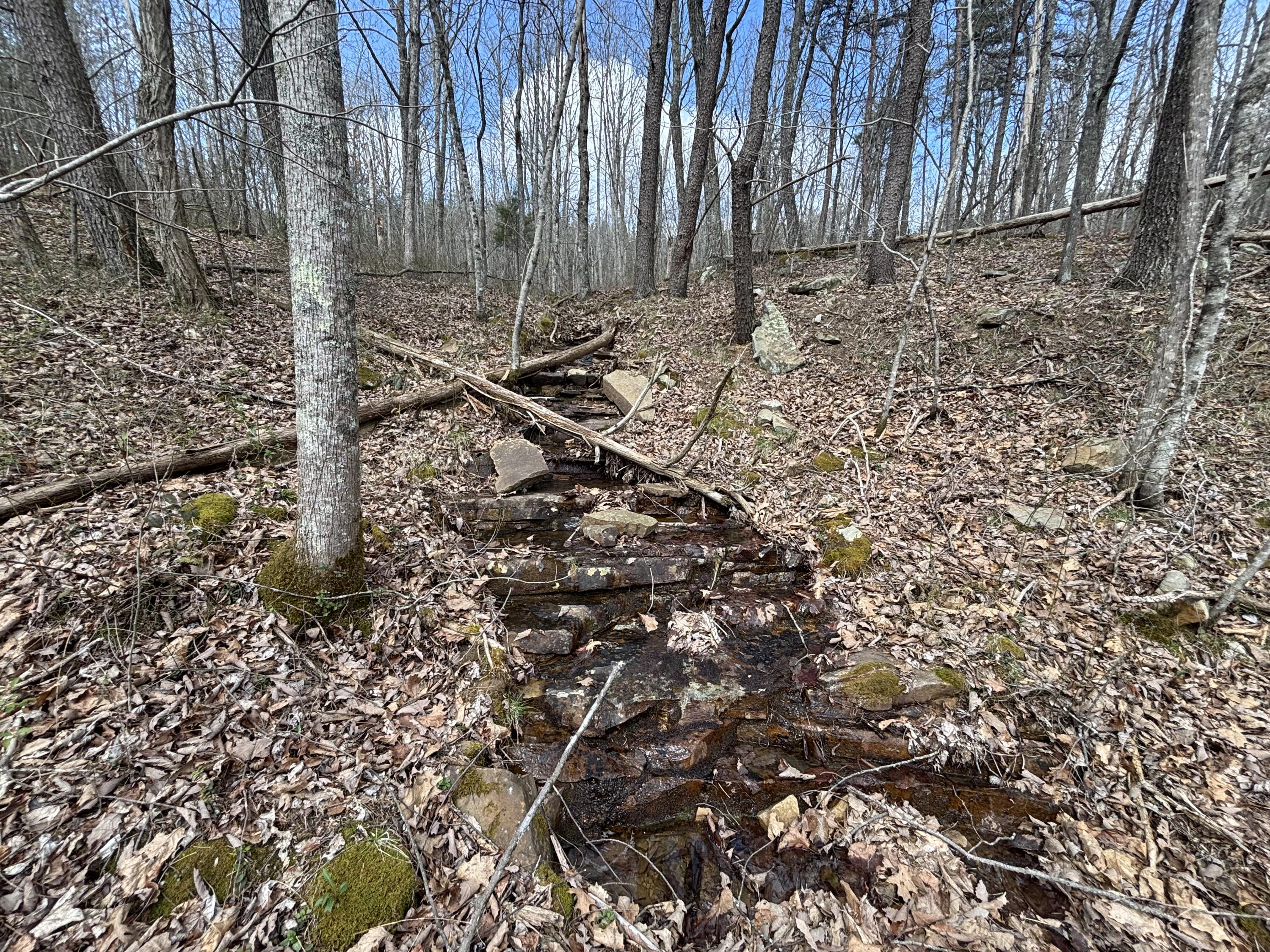 1211 Stooping Oak Road West Dunlap, TN 37327 - Photo 59 of 112 Photo Mar 26 2026, 12 26 34 PM