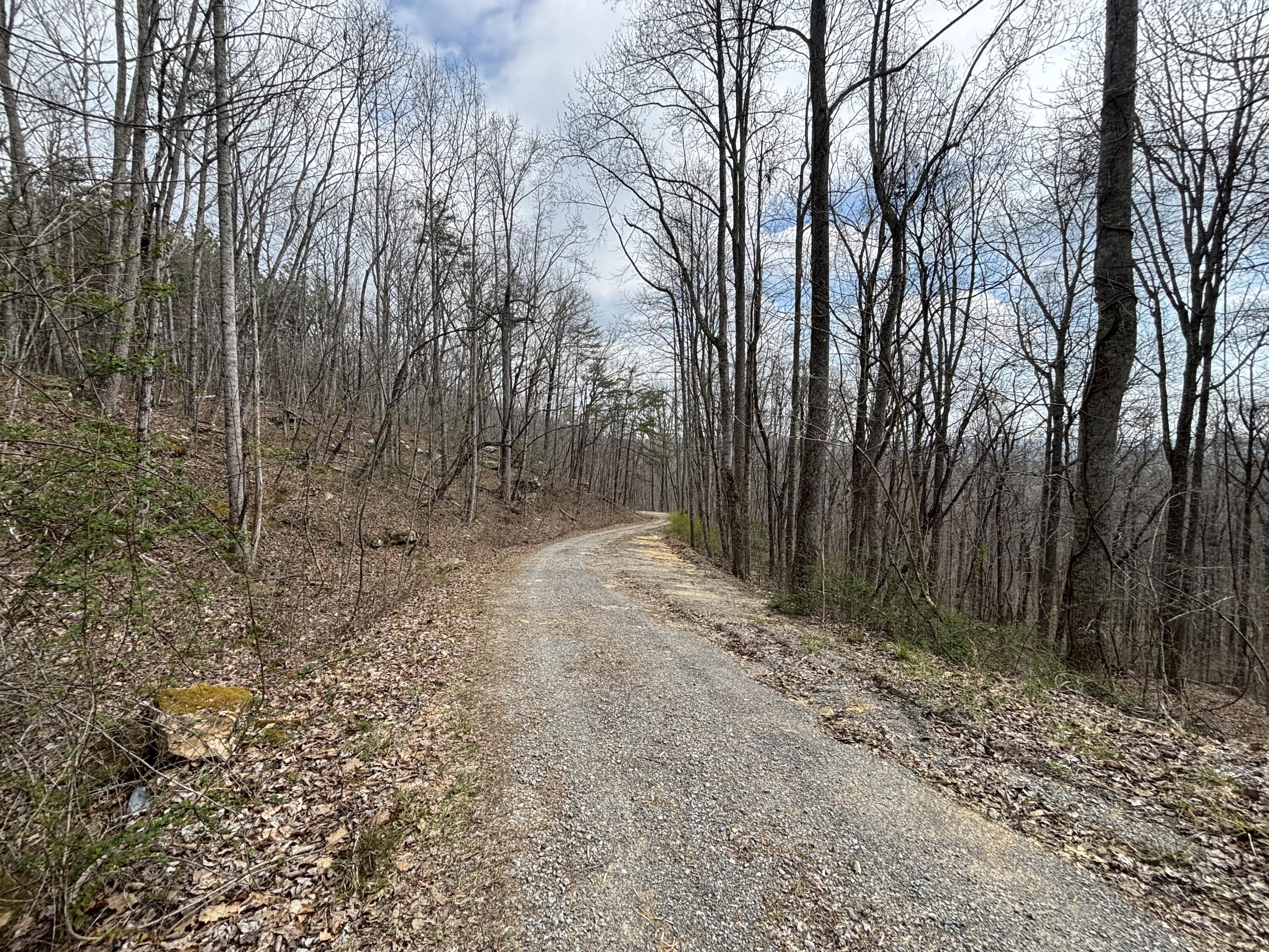 1211 Stooping Oak Road West Dunlap, TN 37327 - Photo 60 of 112 Photo Mar 26 2026, 12 26 46 PM