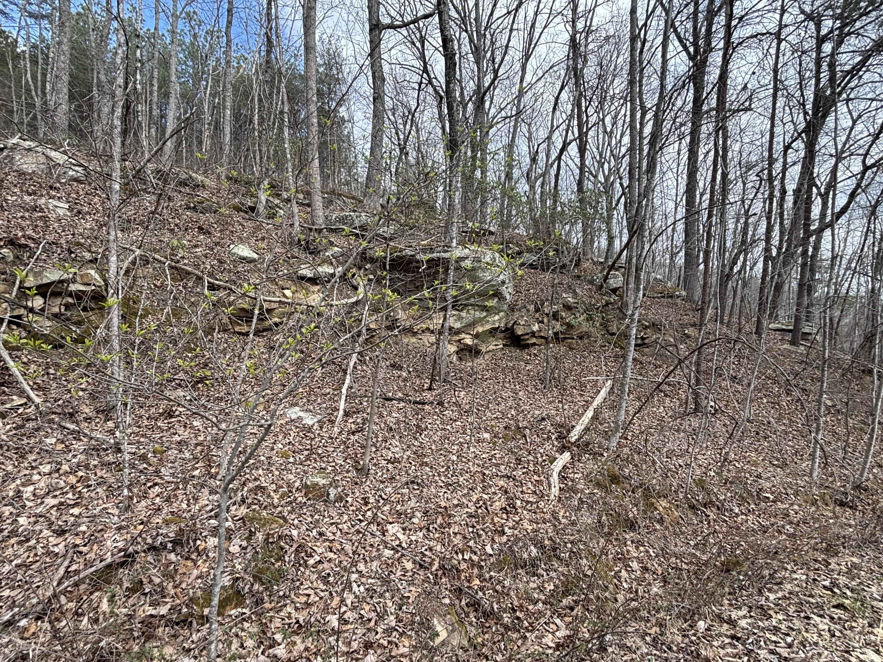 1211 Stooping Oak Road West Dunlap, TN 37327 - Photo 62 of 112 Photo Mar 26 2026, 12 27 39 PM