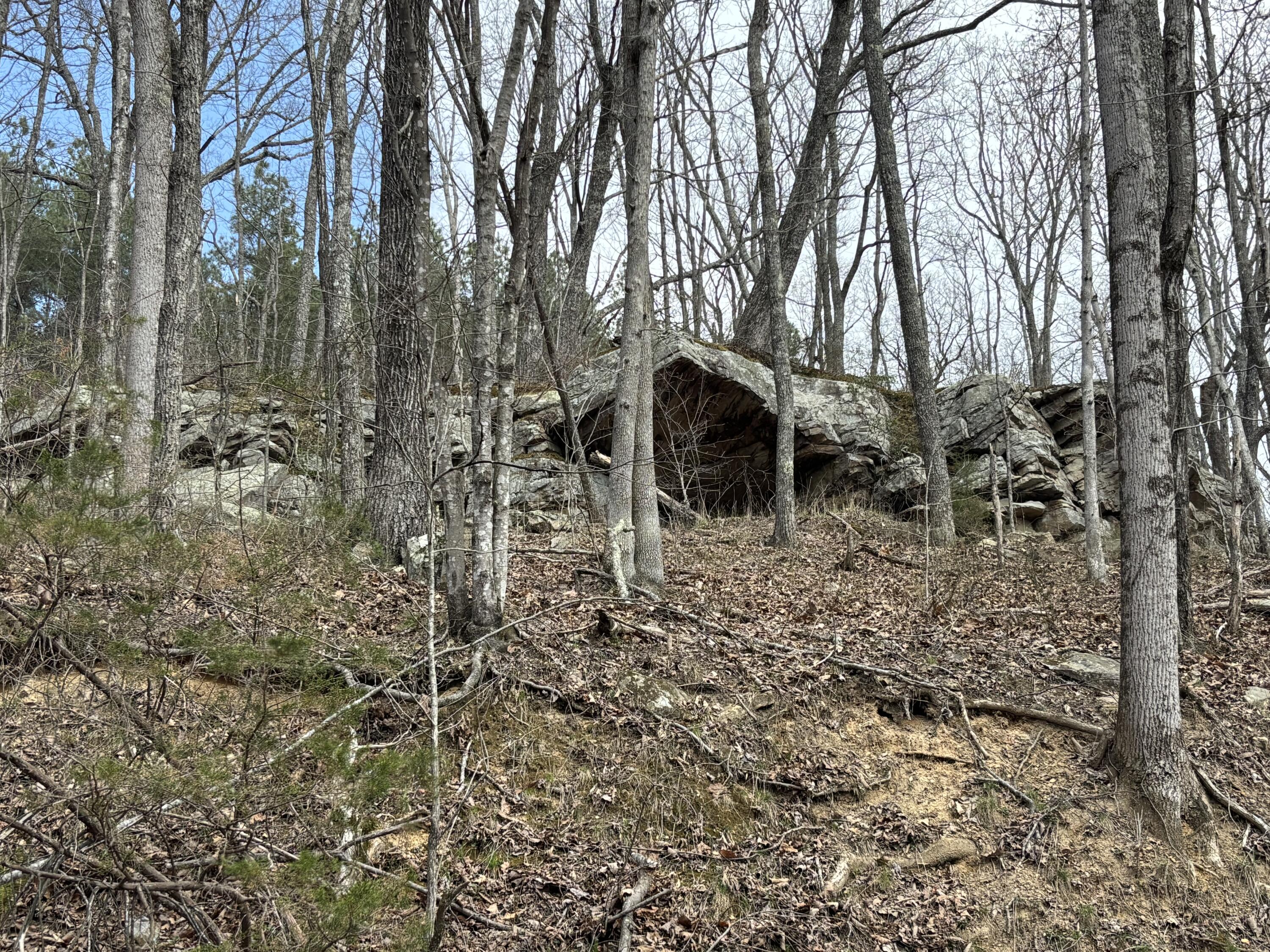 1211 Stooping Oak Road West Dunlap, TN 37327 - Photo 63 of 112 Photo Mar 26 2026, 12 28 45 PM