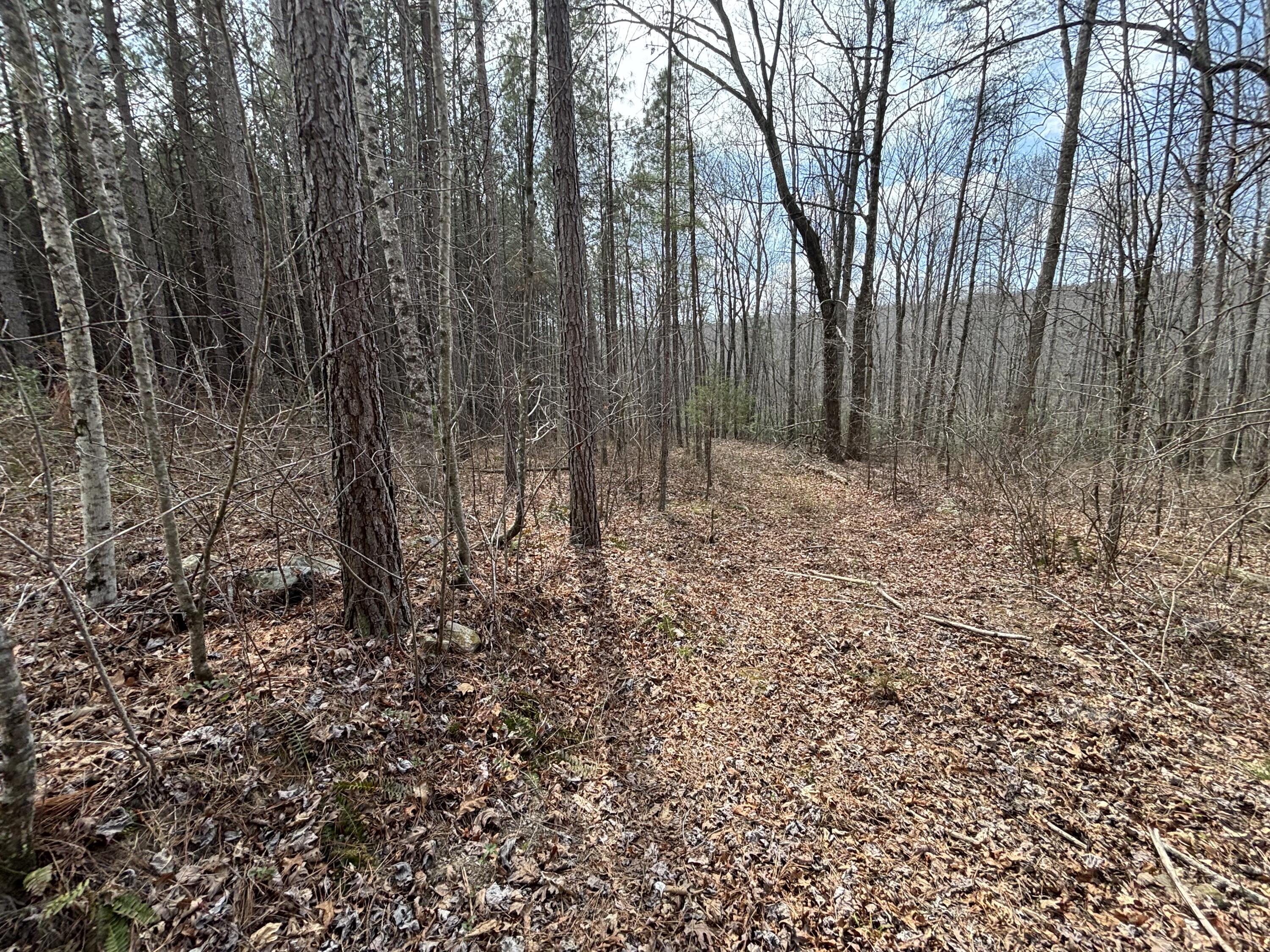 1211 Stooping Oak Road West Dunlap, TN 37327 - Photo 65 of 112 Photo Mar 26 2026, 12 35 18 PM