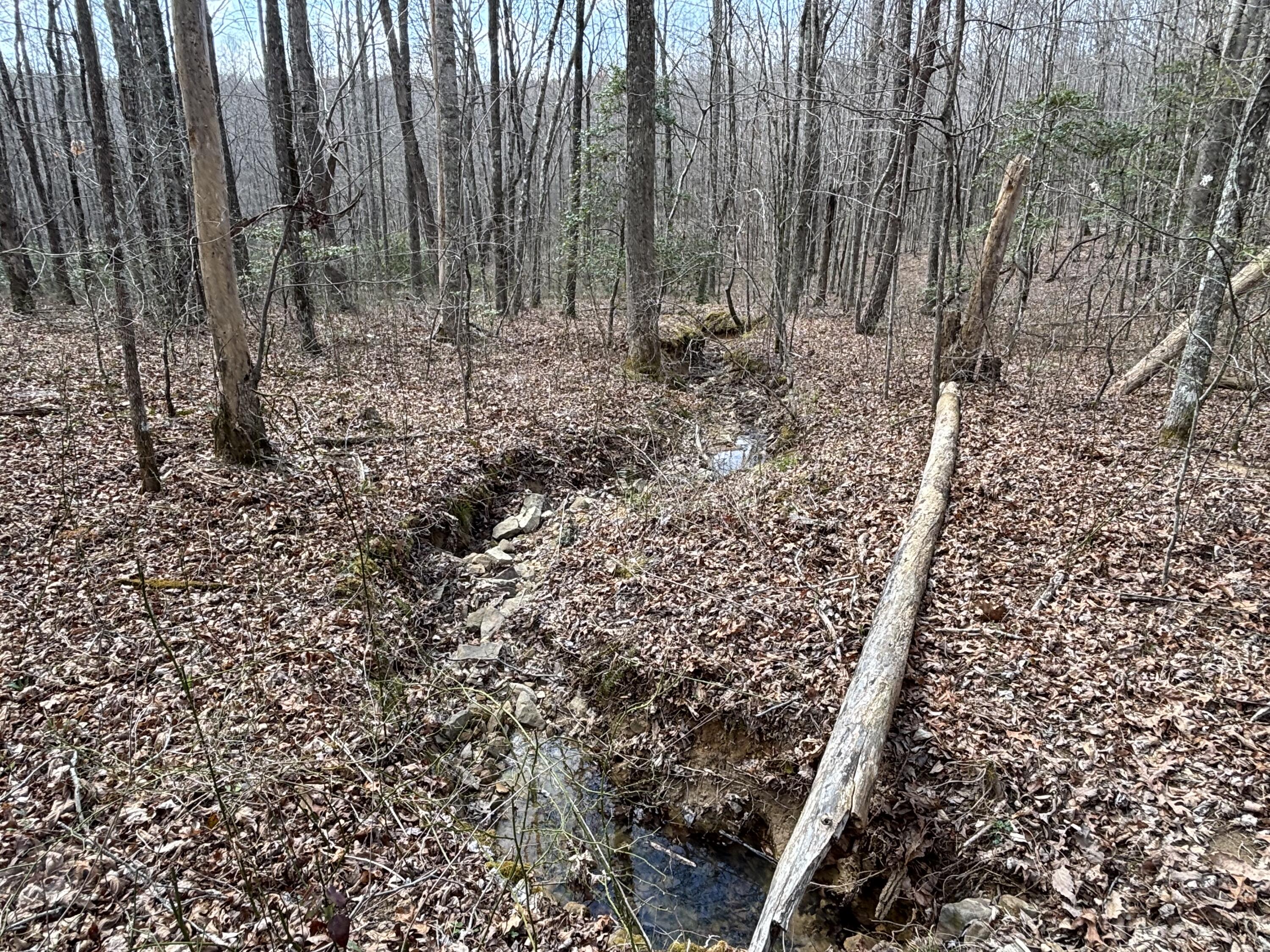 1211 Stooping Oak Road West Dunlap, TN 37327 - Photo 66 of 112 Photo Mar 26 2026, 12 32 59 PM