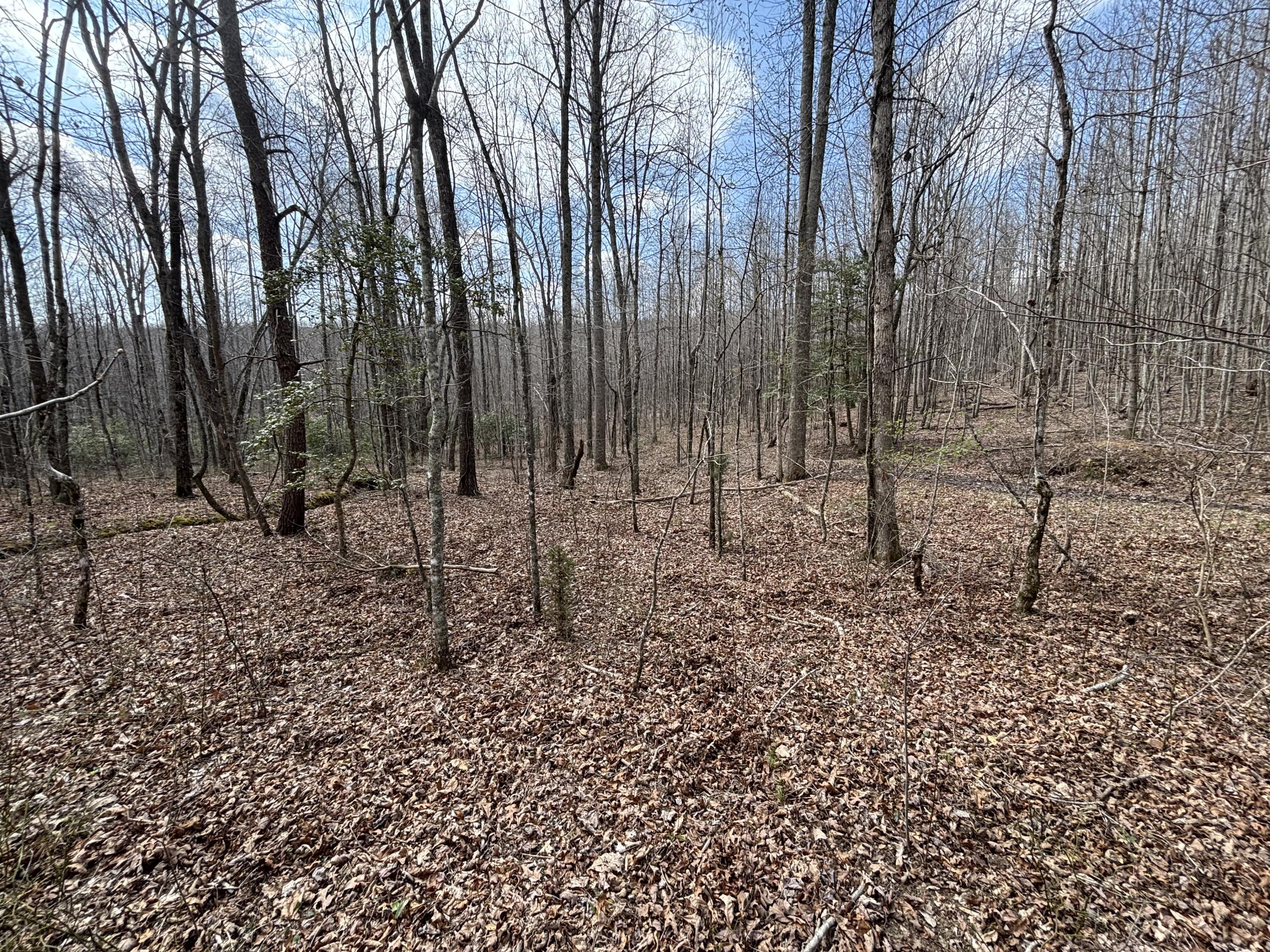 1211 Stooping Oak Road West Dunlap, TN 37327 - Photo 69 of 112 Photo Mar 26 2026, 12 33 43 PM