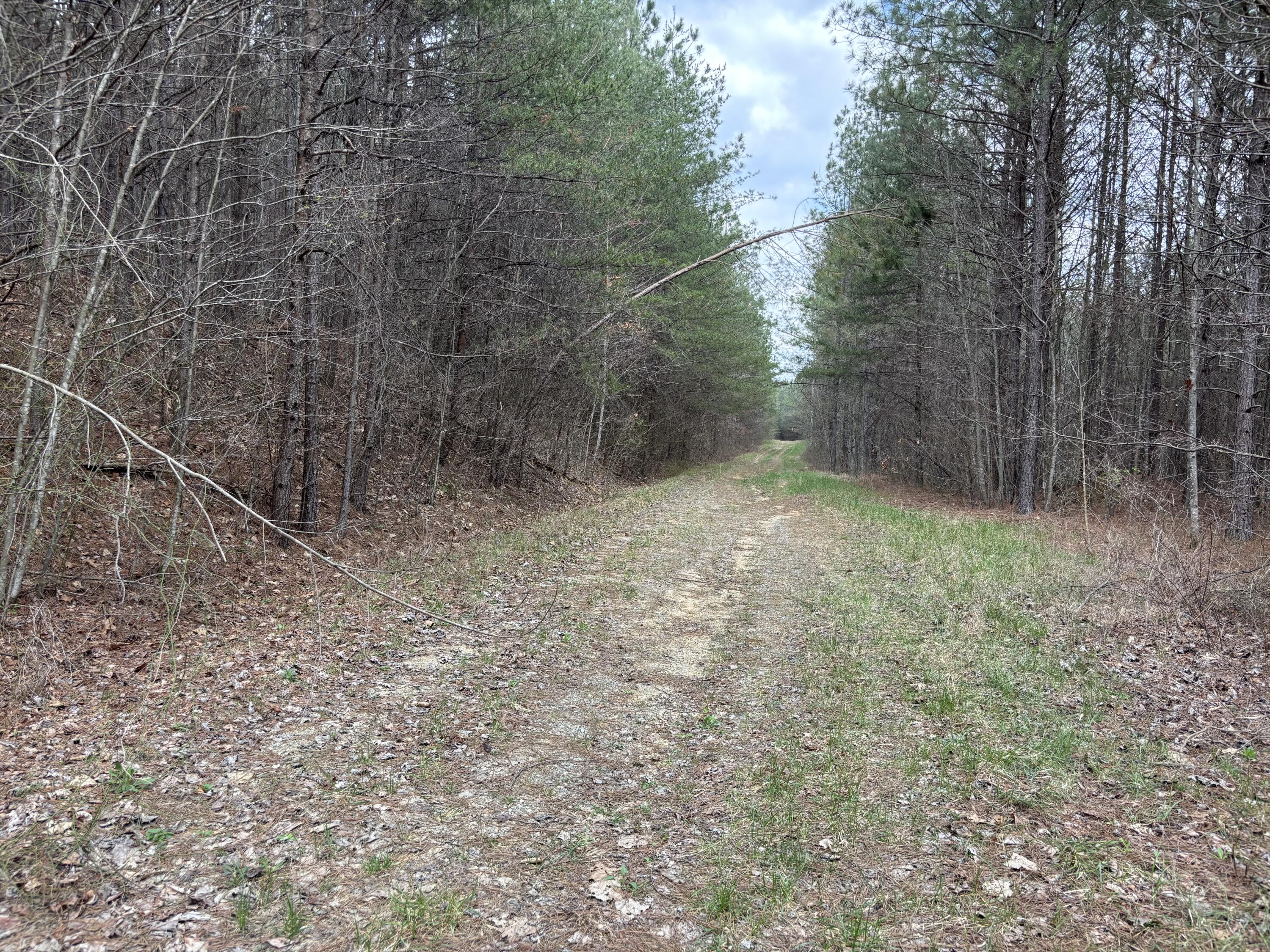 1211 Stooping Oak Road West Dunlap, TN 37327 - Photo 7 of 112 Photo Mar 26 2026, 1 10 15 PM