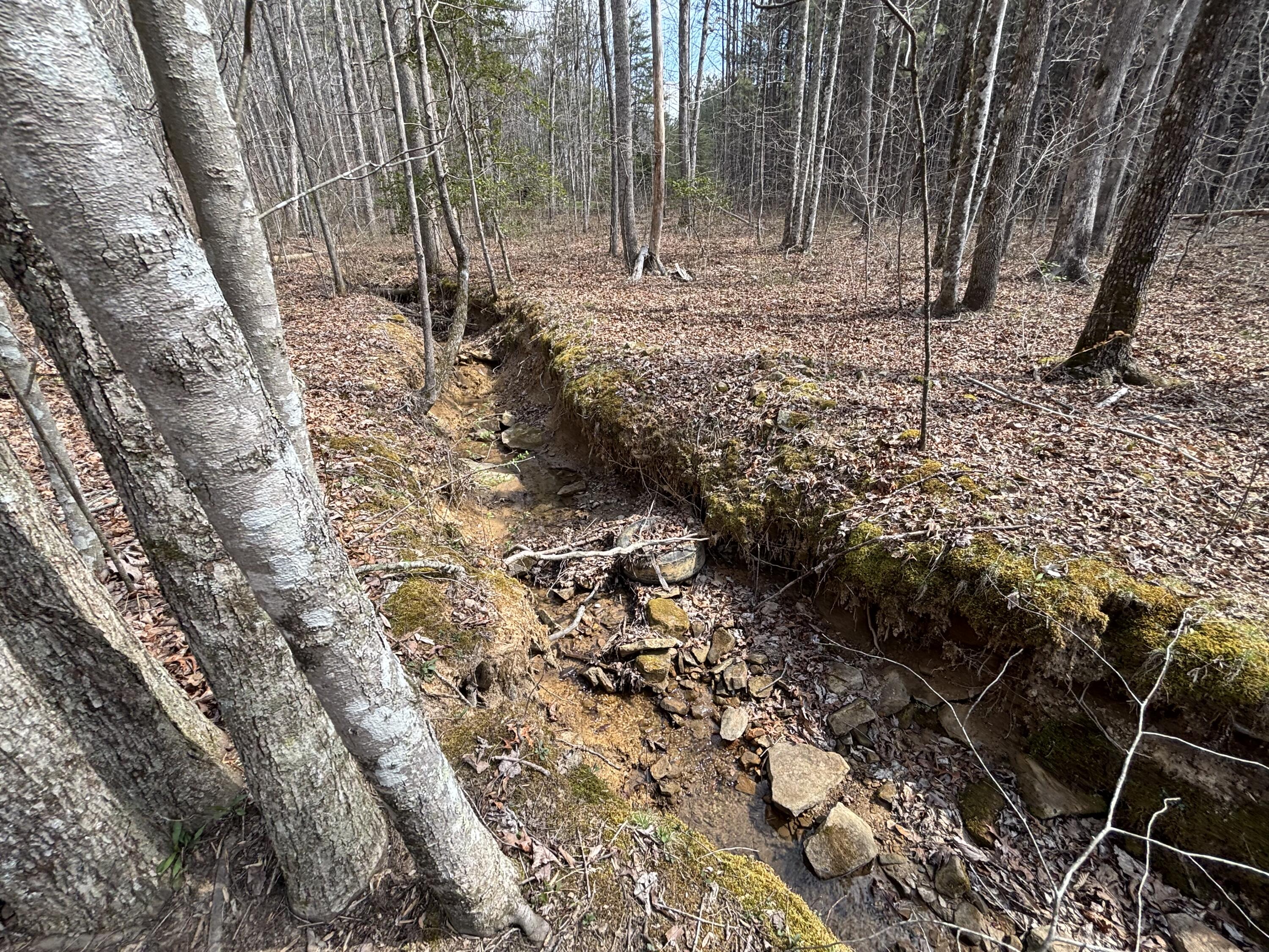 1211 Stooping Oak Road West Dunlap, TN 37327 - Photo 71 of 112 Photo Mar 26 2026, 12 34 22 PM