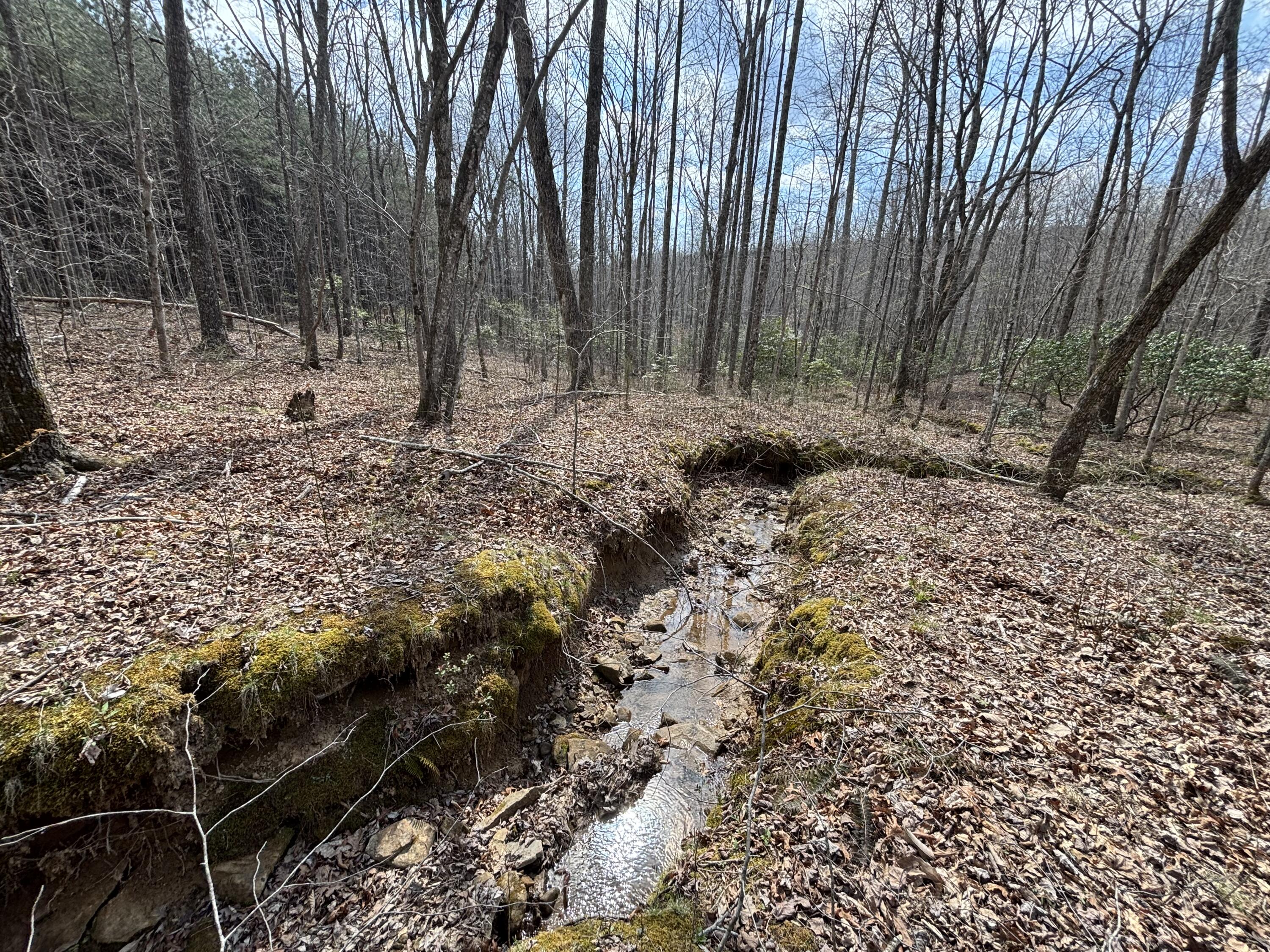1211 Stooping Oak Road West Dunlap, TN 37327 - Photo 72 of 112 Photo Mar 26 2026, 12 34 26 PM