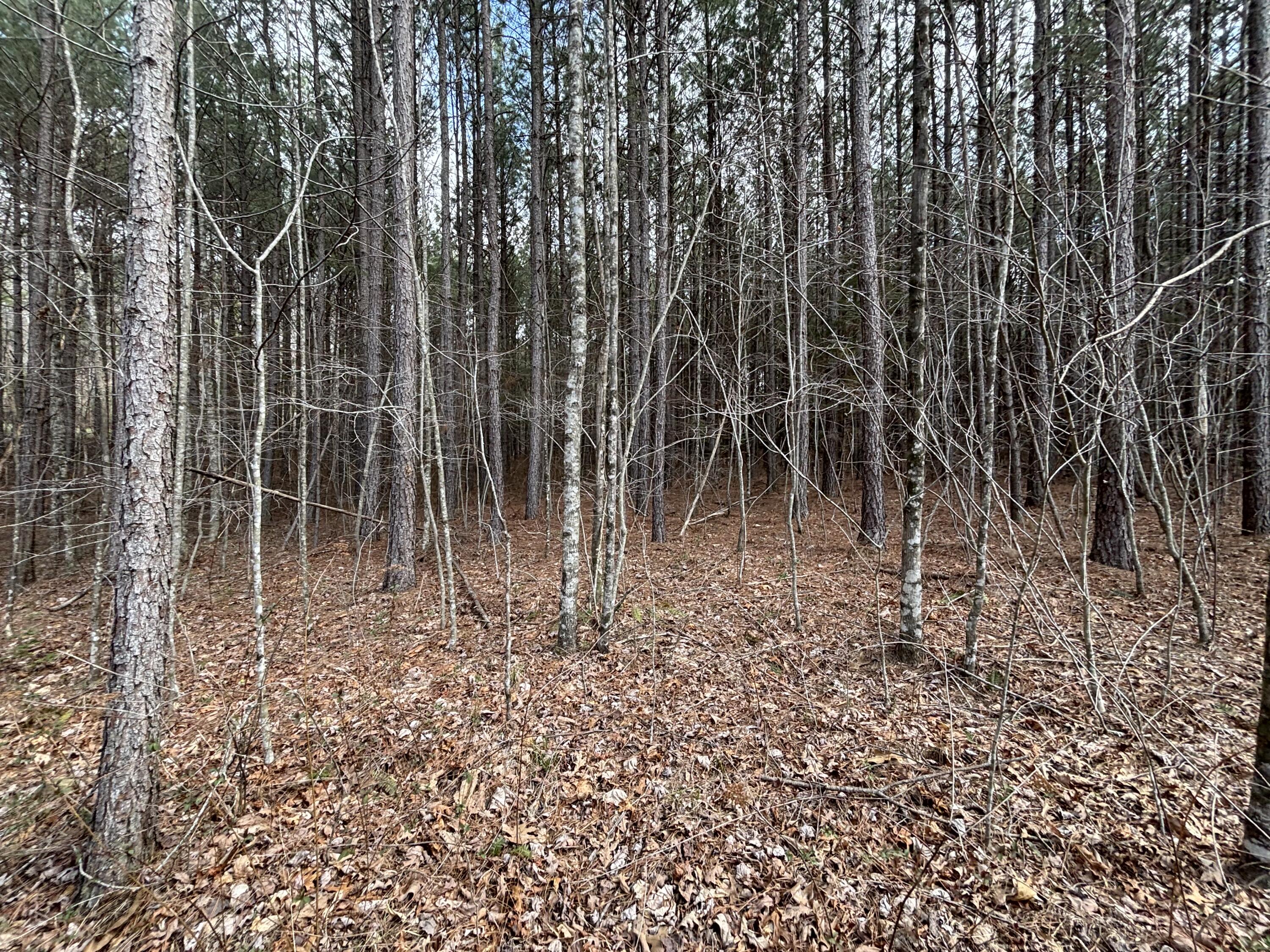 1211 Stooping Oak Road West Dunlap, TN 37327 - Photo 73 of 112 Photo Mar 26 2026, 12 36 33 PM