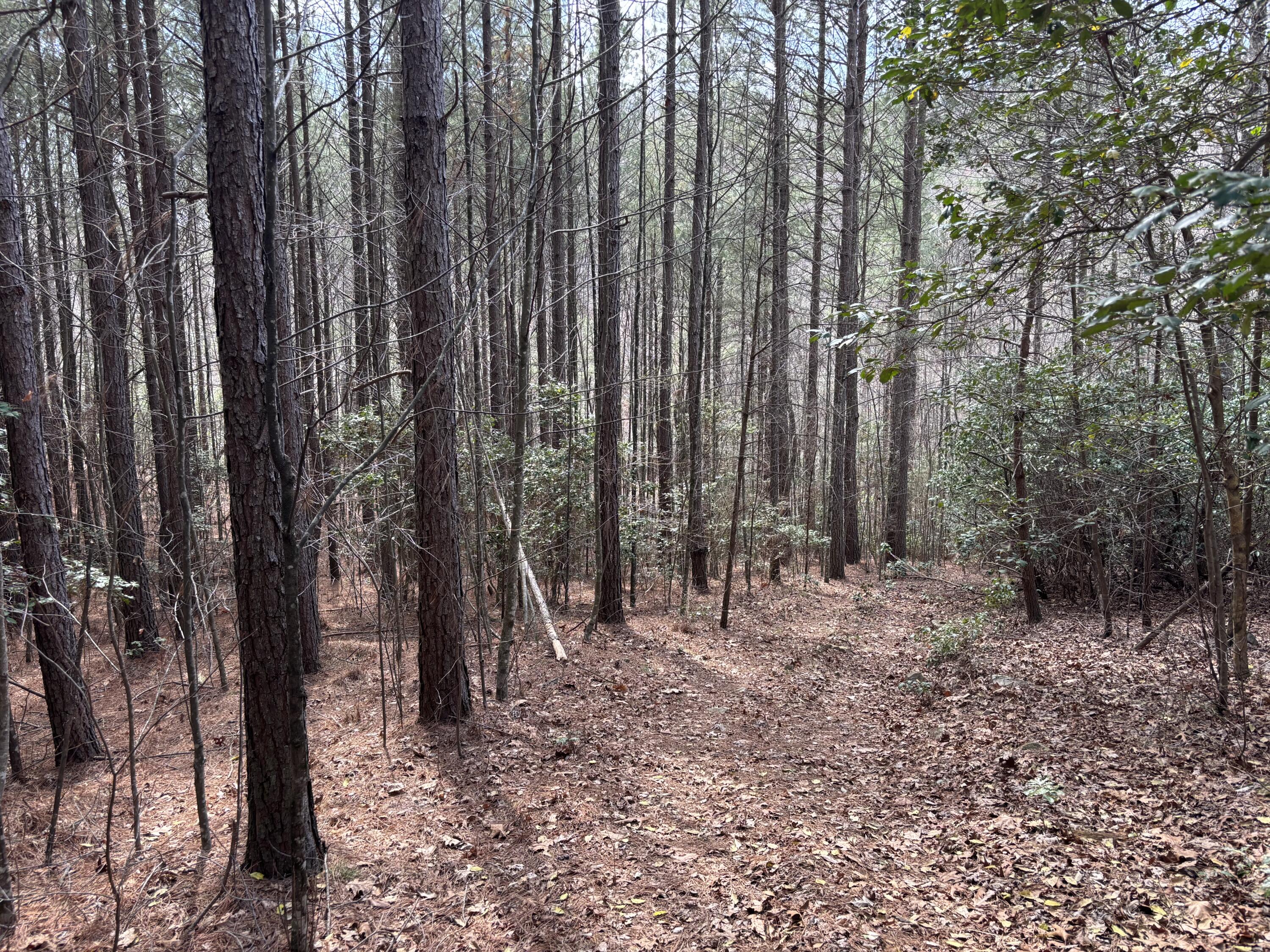 1211 Stooping Oak Road West Dunlap, TN 37327 - Photo 74 of 112 Photo Mar 26 2026, 12 38 06 PM