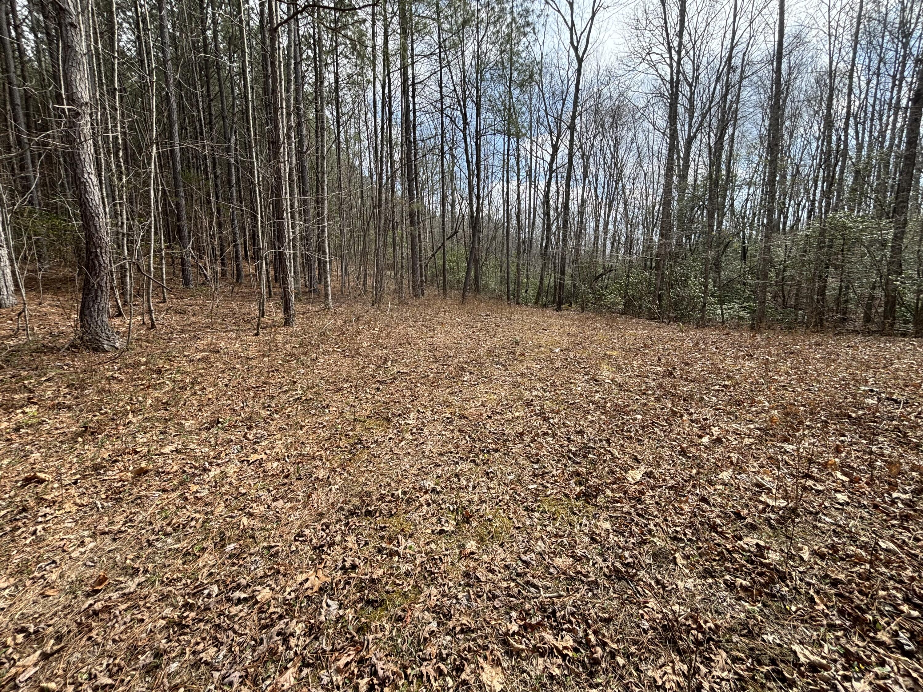1211 Stooping Oak Road West Dunlap, TN 37327 - Photo 75 of 112 Photo Mar 26 2026, 12 38 50 PM