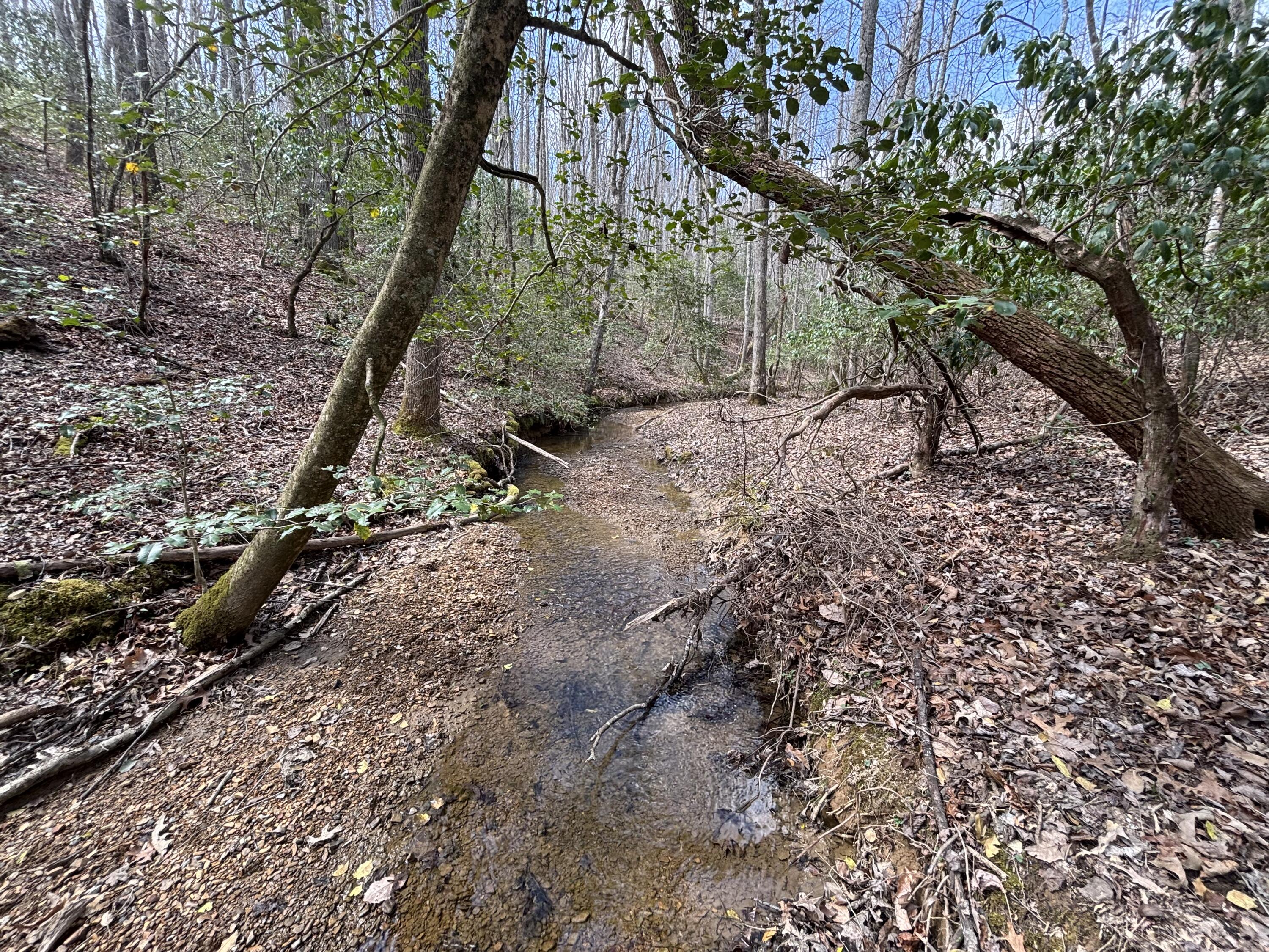 1211 Stooping Oak Road West Dunlap, TN 37327 - Photo 76 of 112 Photo Mar 26 2026, 12 39 41 PM