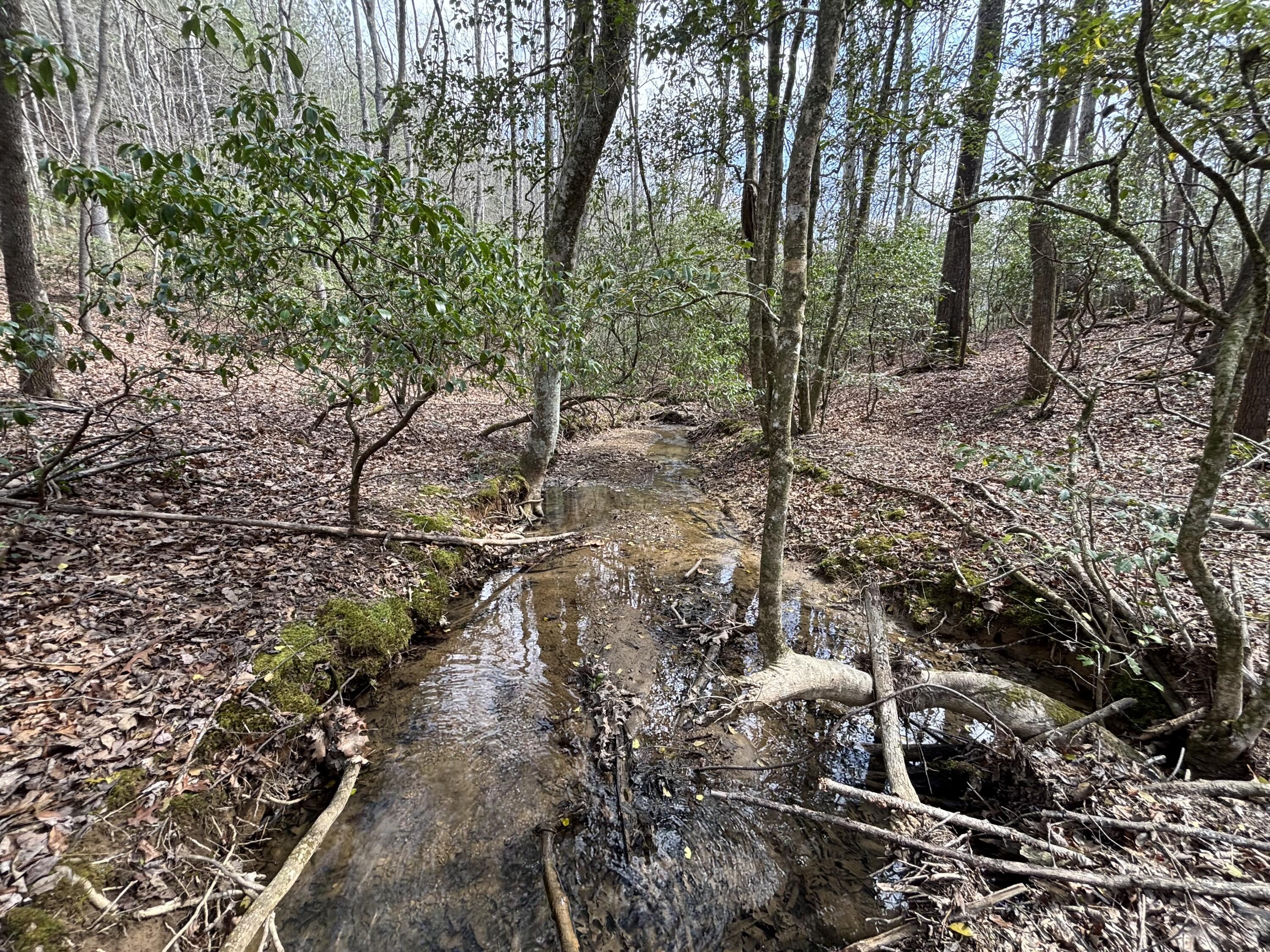 1211 Stooping Oak Road West Dunlap, TN 37327 - Photo 77 of 112 Photo Mar 26 2026, 12 40 01 PM