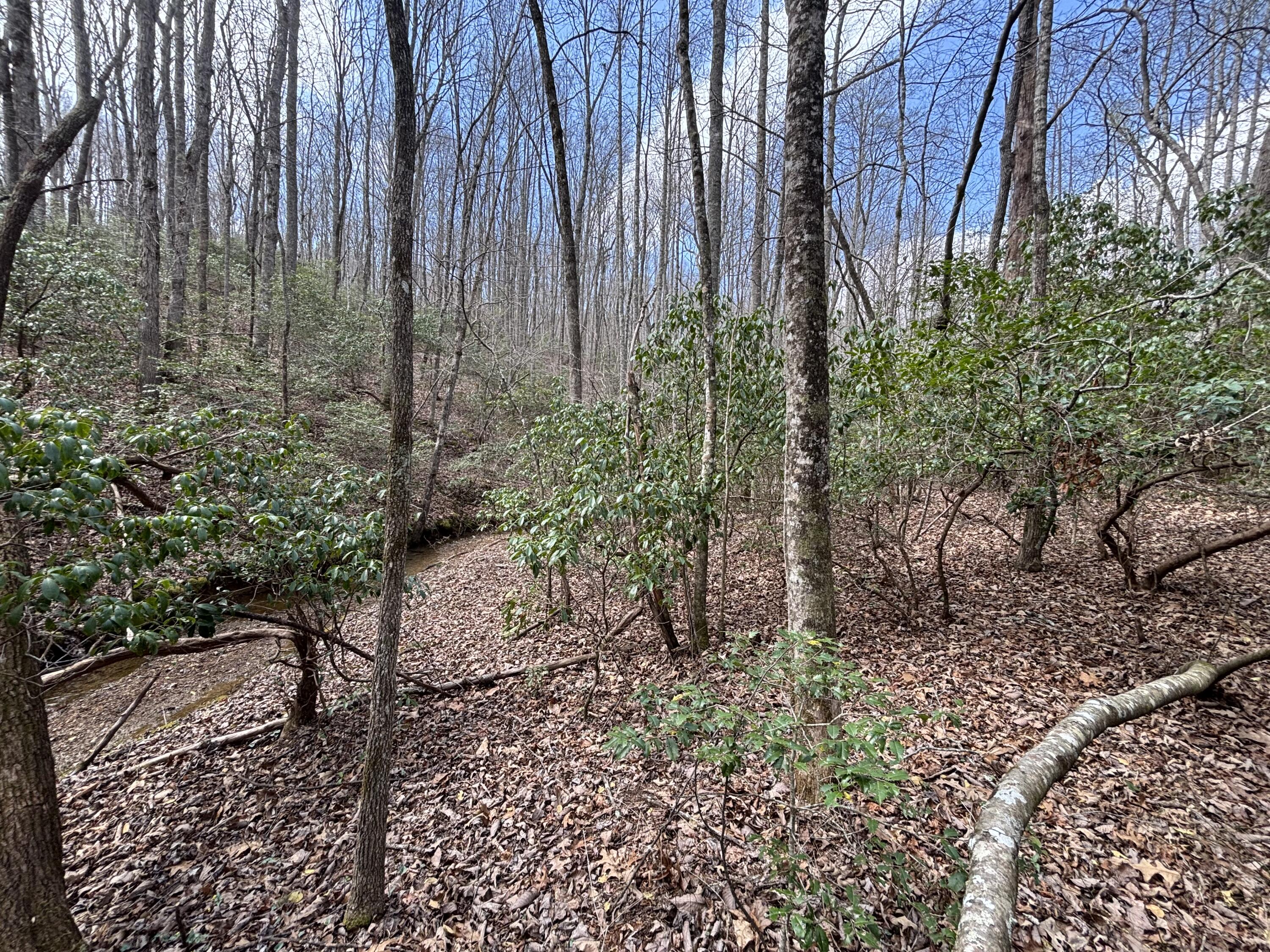 1211 Stooping Oak Road West Dunlap, TN 37327 - Photo 78 of 112 Photo Mar 26 2026, 12 40 21 PM