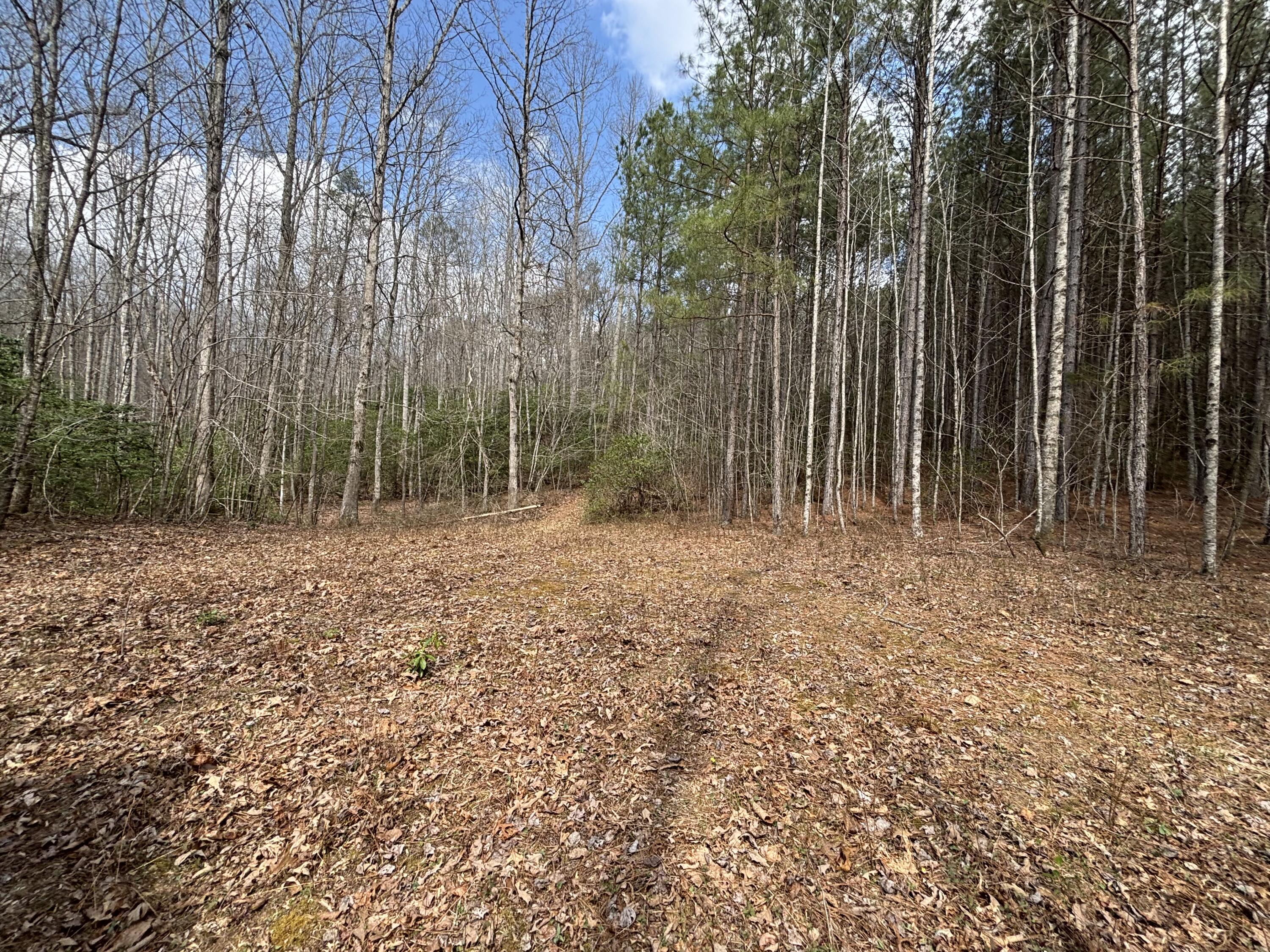 1211 Stooping Oak Road West Dunlap, TN 37327 - Photo 79 of 112 Photo Mar 26 2026, 12 40 41 PM