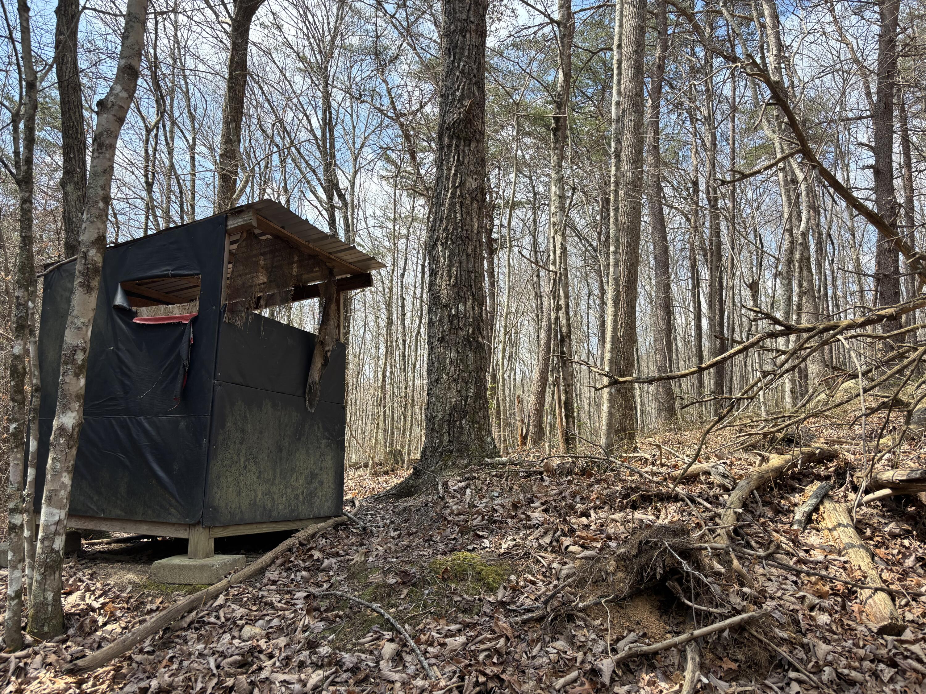 1211 Stooping Oak Road West Dunlap, TN 37327 - Photo 80 of 112 Photo Mar 26 2026, 12 51 24 PM