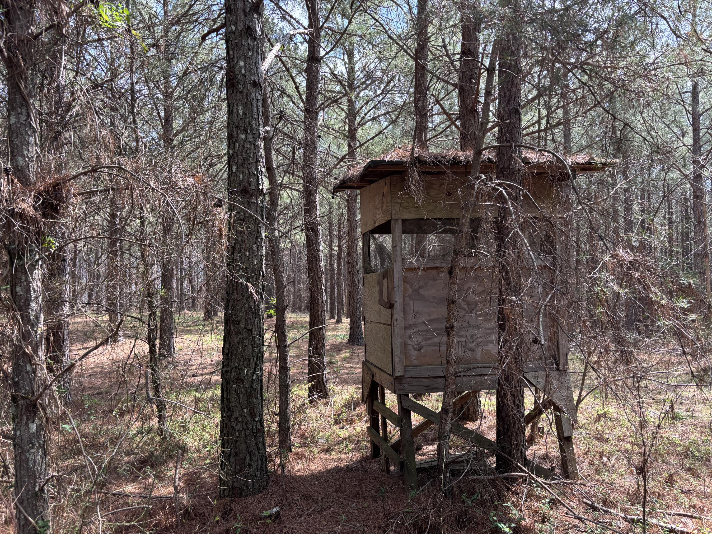 1211 Stooping Oak Road West Dunlap, TN 37327 - Photo 8 of 112 Photo Mar 26 2026, 1 12 06 PM