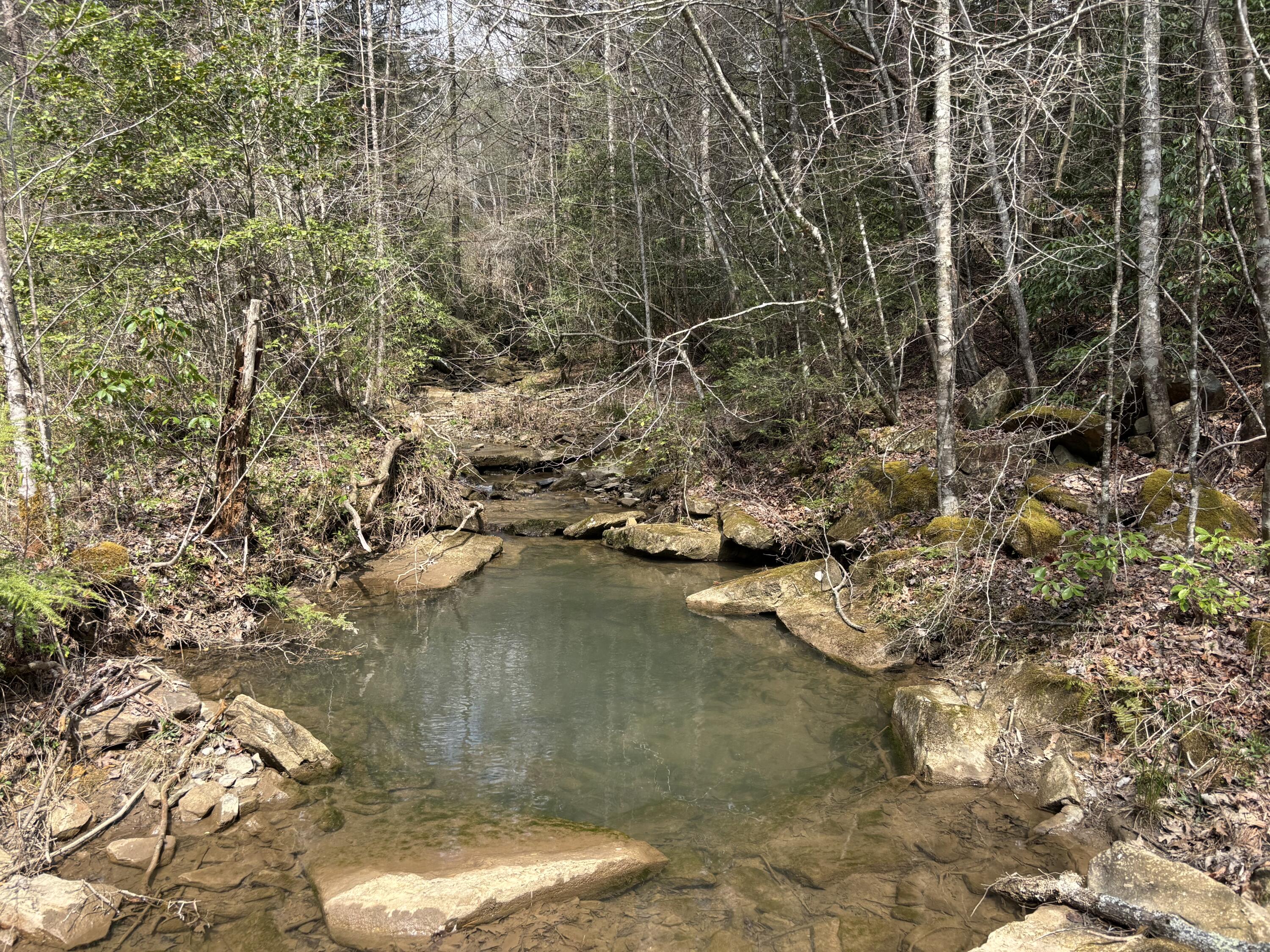 1211 Stooping Oak Road West Dunlap, TN 37327 - Photo 83 of 112 Photo Mar 26 2026, 12 55 50 PM