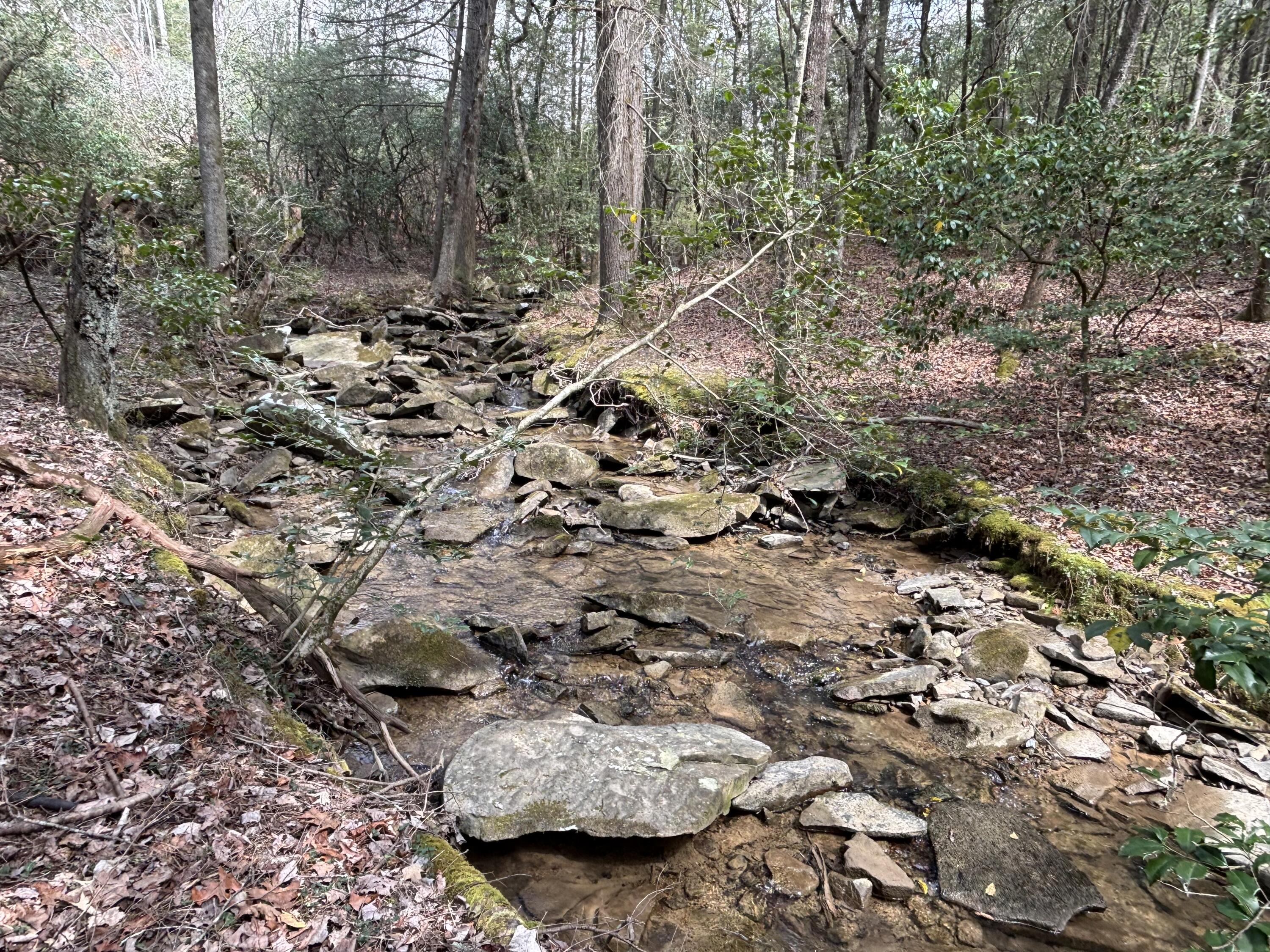 1211 Stooping Oak Road West Dunlap, TN 37327 - Photo 84 of 112 Photo Mar 26 2026, 12 56 57 PM