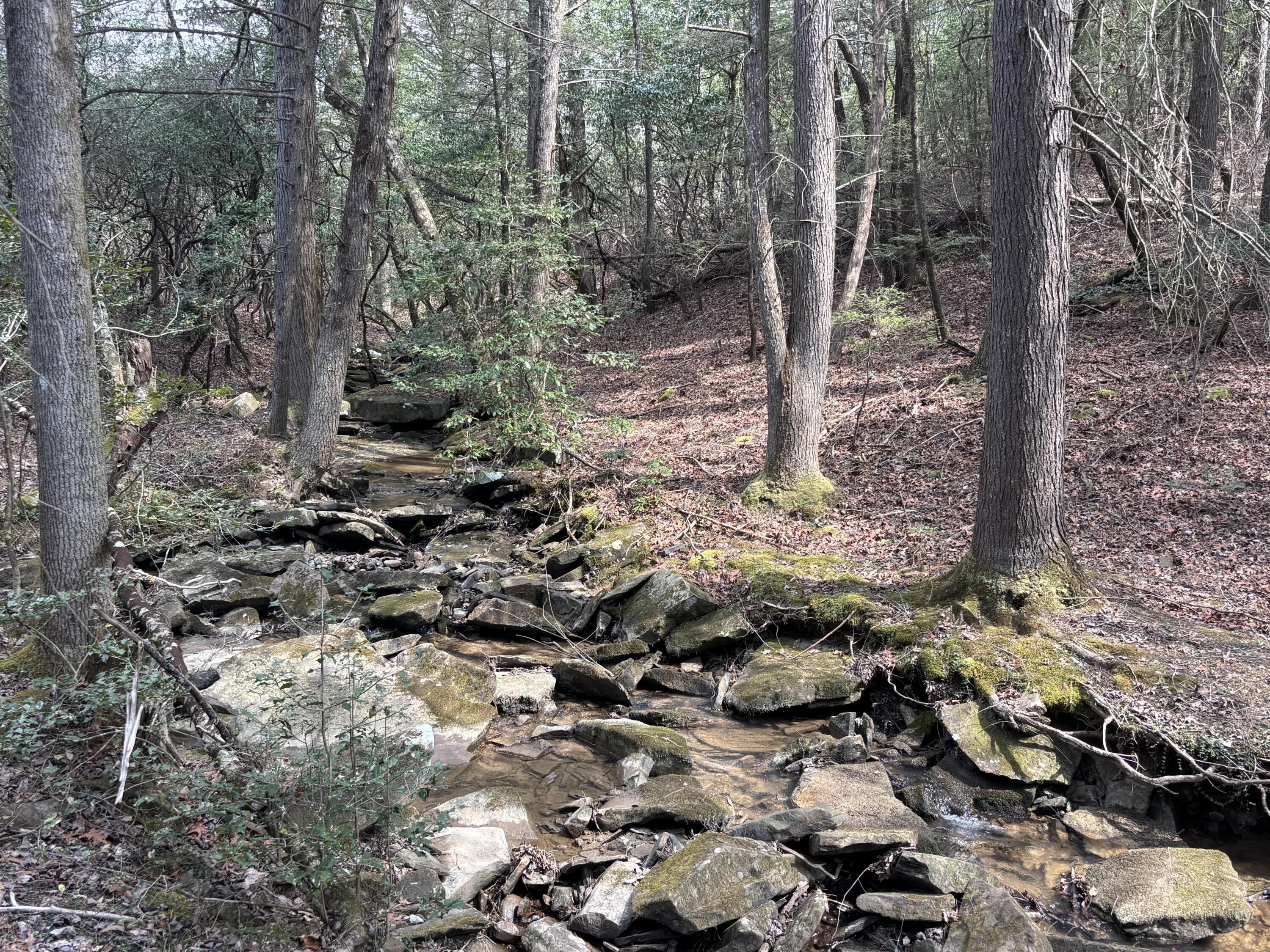 1211 Stooping Oak Road West Dunlap, TN 37327 - Photo 87 of 112 Photo Mar 26 2026, 12 58 06 PM