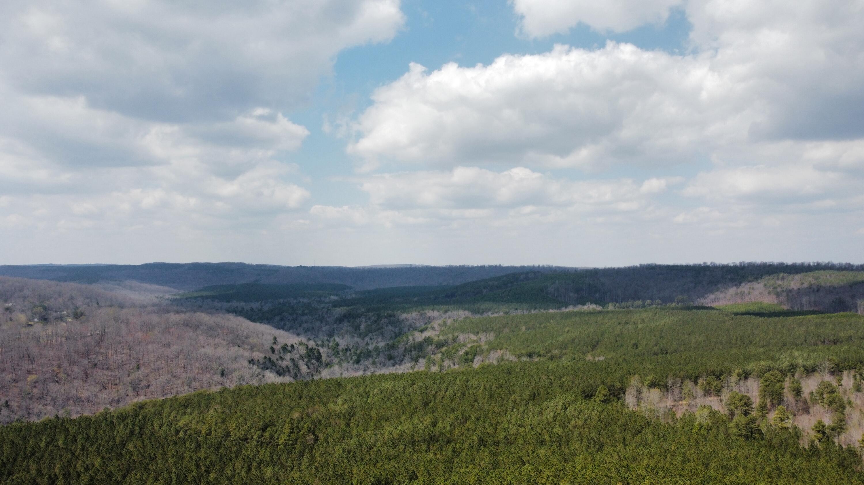 1211 Stooping Oak Road West Dunlap, TN 37327 - Photo 89 of 112 Photo Mar 27 2026, 12 58 33 PM (1)