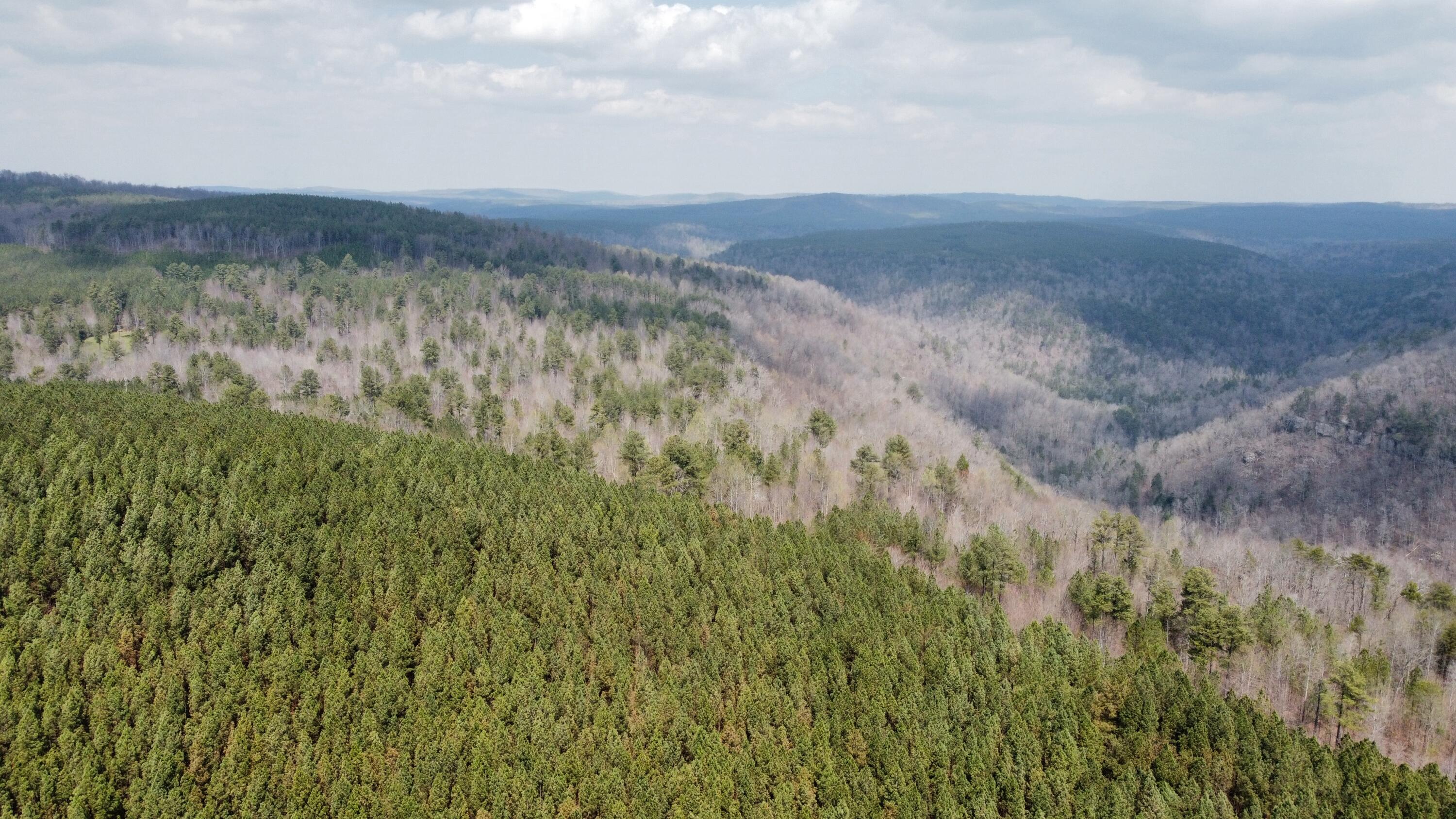 1211 Stooping Oak Road West Dunlap, TN 37327 - Photo 90 of 112 Photo Mar 27 2026, 12 58 33 PM (2)