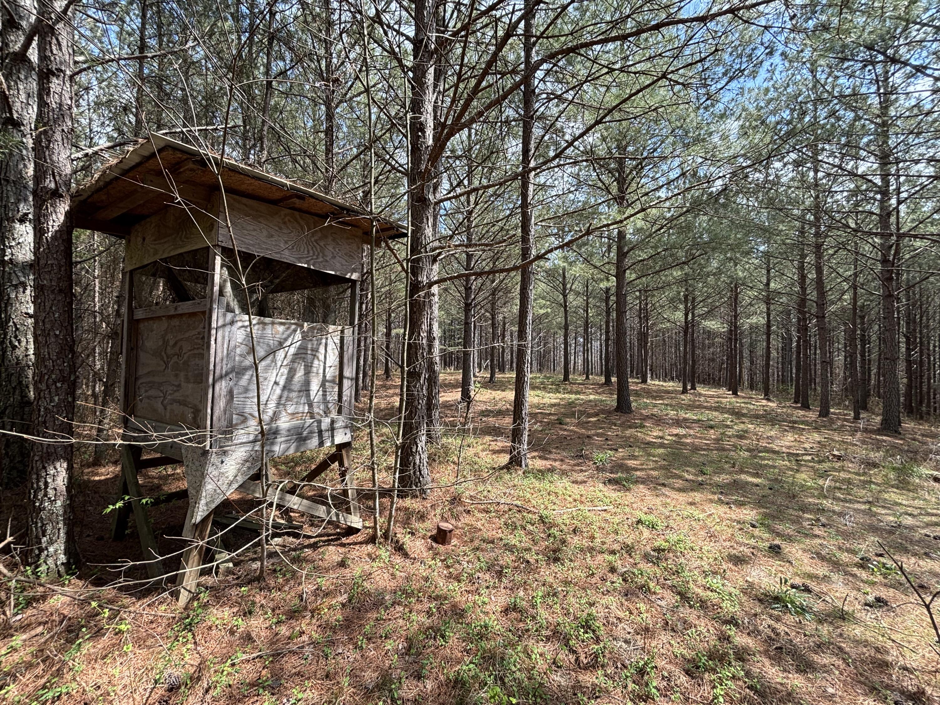 1211 Stooping Oak Road West Dunlap, TN 37327 - Photo 9 of 112 Photo Mar 26 2026, 1 12 23 PM