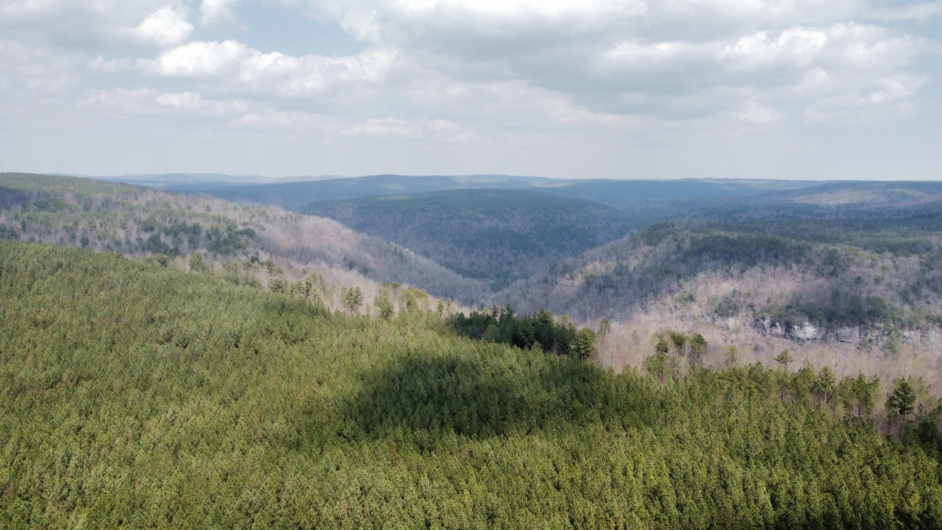 1211 Stooping Oak Road West Dunlap, TN 37327 - Photo 91 of 112 Photo Mar 27 2026, 12 58 33 PM (5) (1)