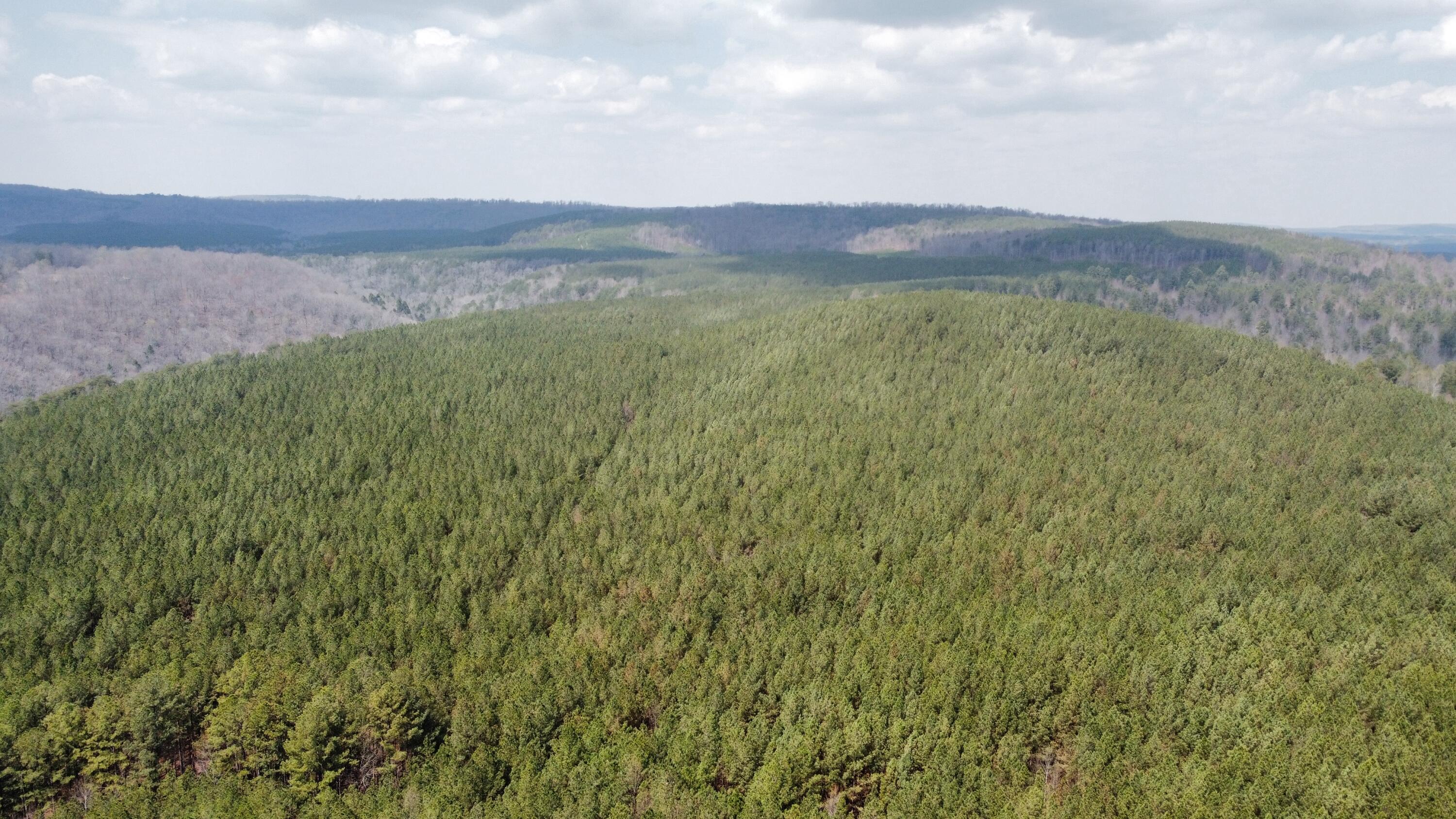 1211 Stooping Oak Road West Dunlap, TN 37327 - Photo 92 of 112 Photo Mar 27 2026, 12 58 33 PM (5)