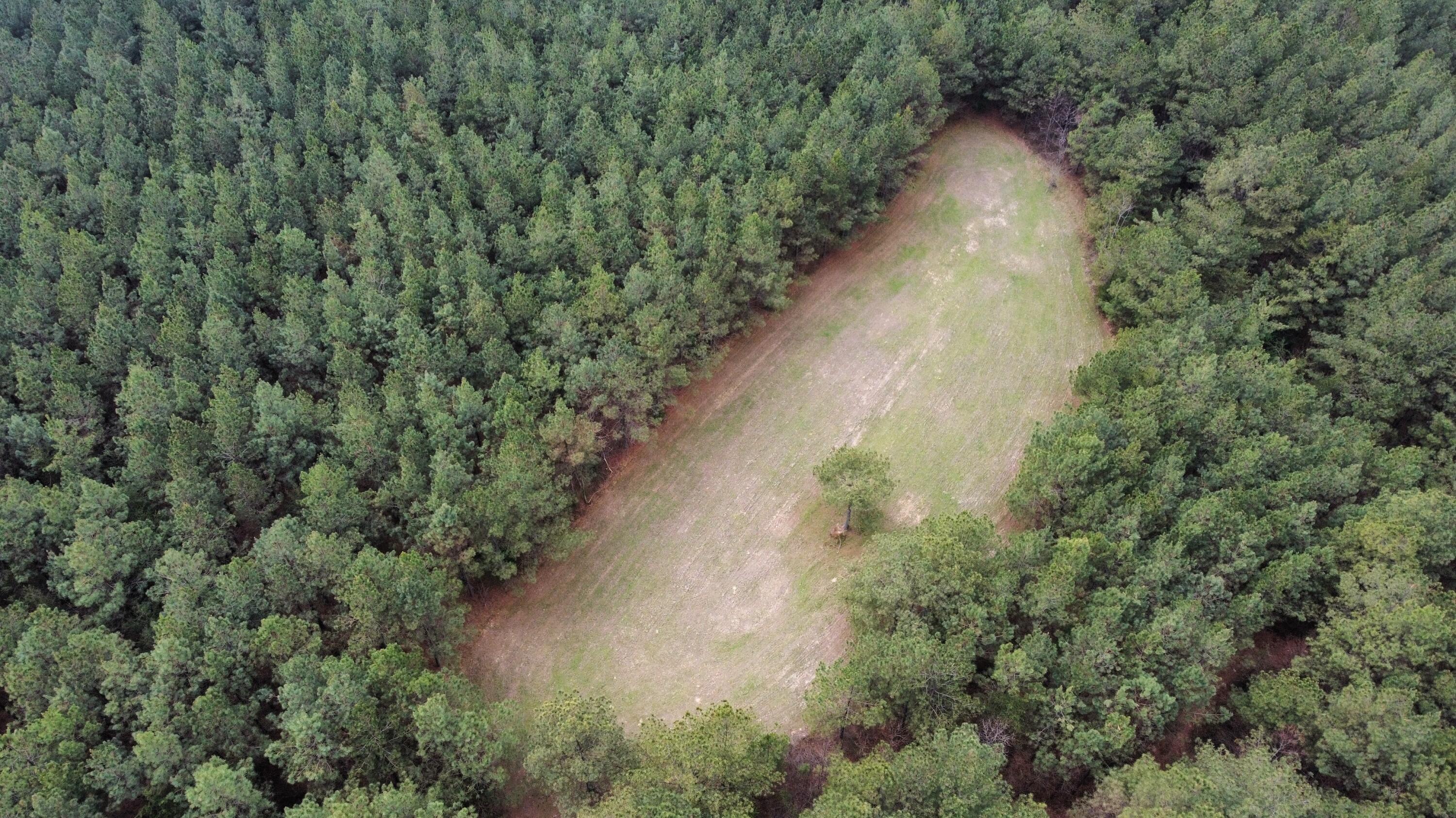 1211 Stooping Oak Road West Dunlap, TN 37327 - Photo 93 of 112 Photo Mar 27 2026, 12 58 33 PM (7)