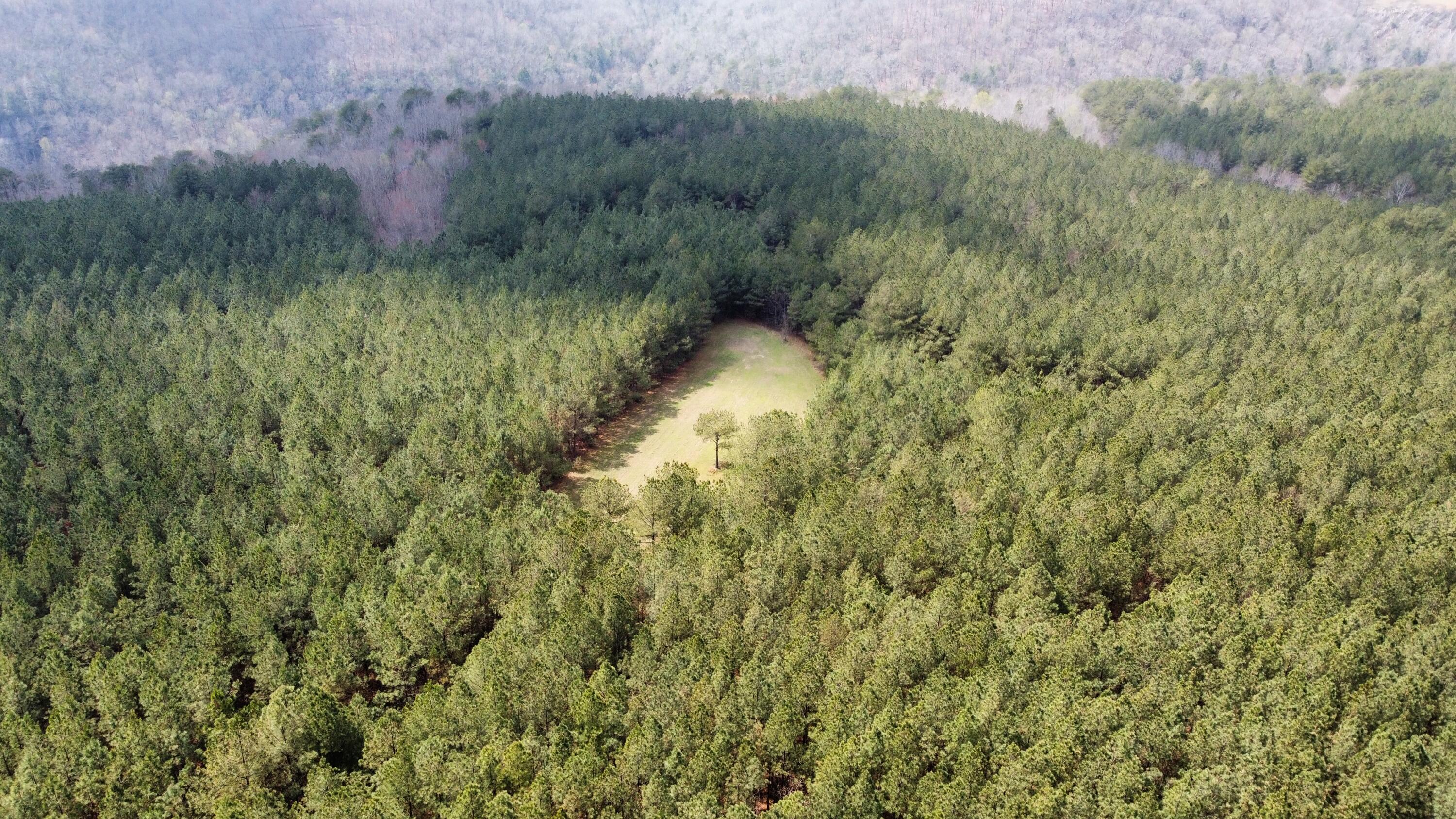 1211 Stooping Oak Road West Dunlap, TN 37327 - Photo 94 of 112 Photo Mar 27 2026, 12 58 33 PM (8)