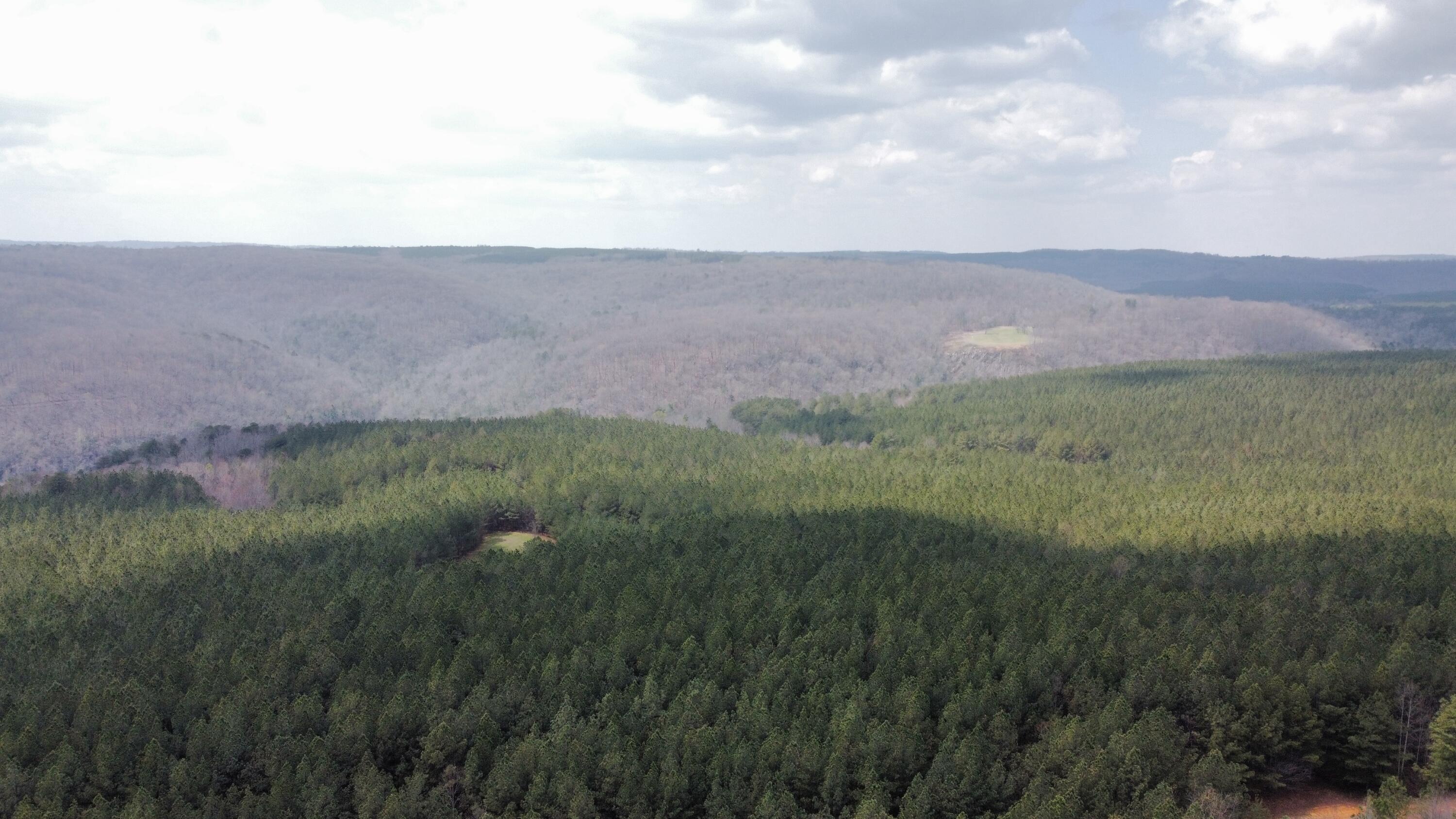 1211 Stooping Oak Road West Dunlap, TN 37327 - Photo 95 of 112 Photo Mar 27 2026, 12 58 33 PM (9)