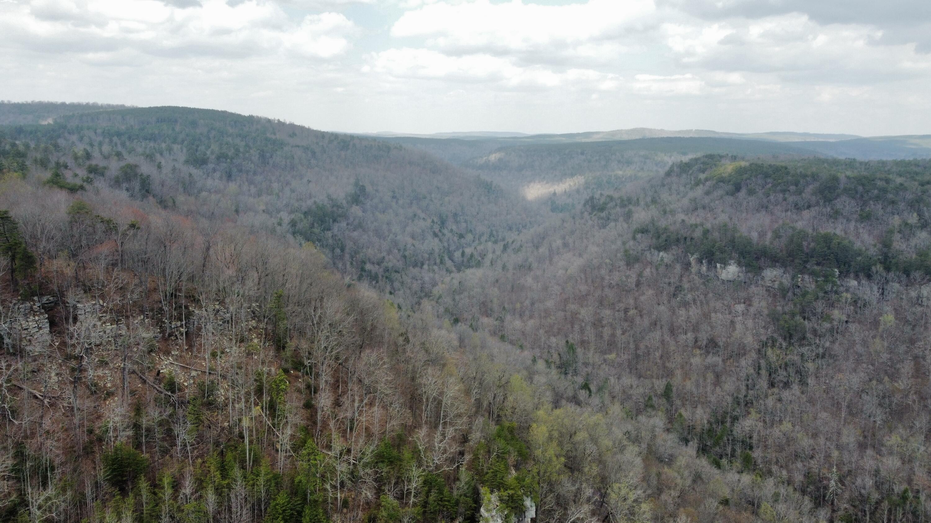 1211 Stooping Oak Road West Dunlap, TN 37327 - Photo 96 of 112 Photo Mar 27 2026, 12 58 33 PM (10)