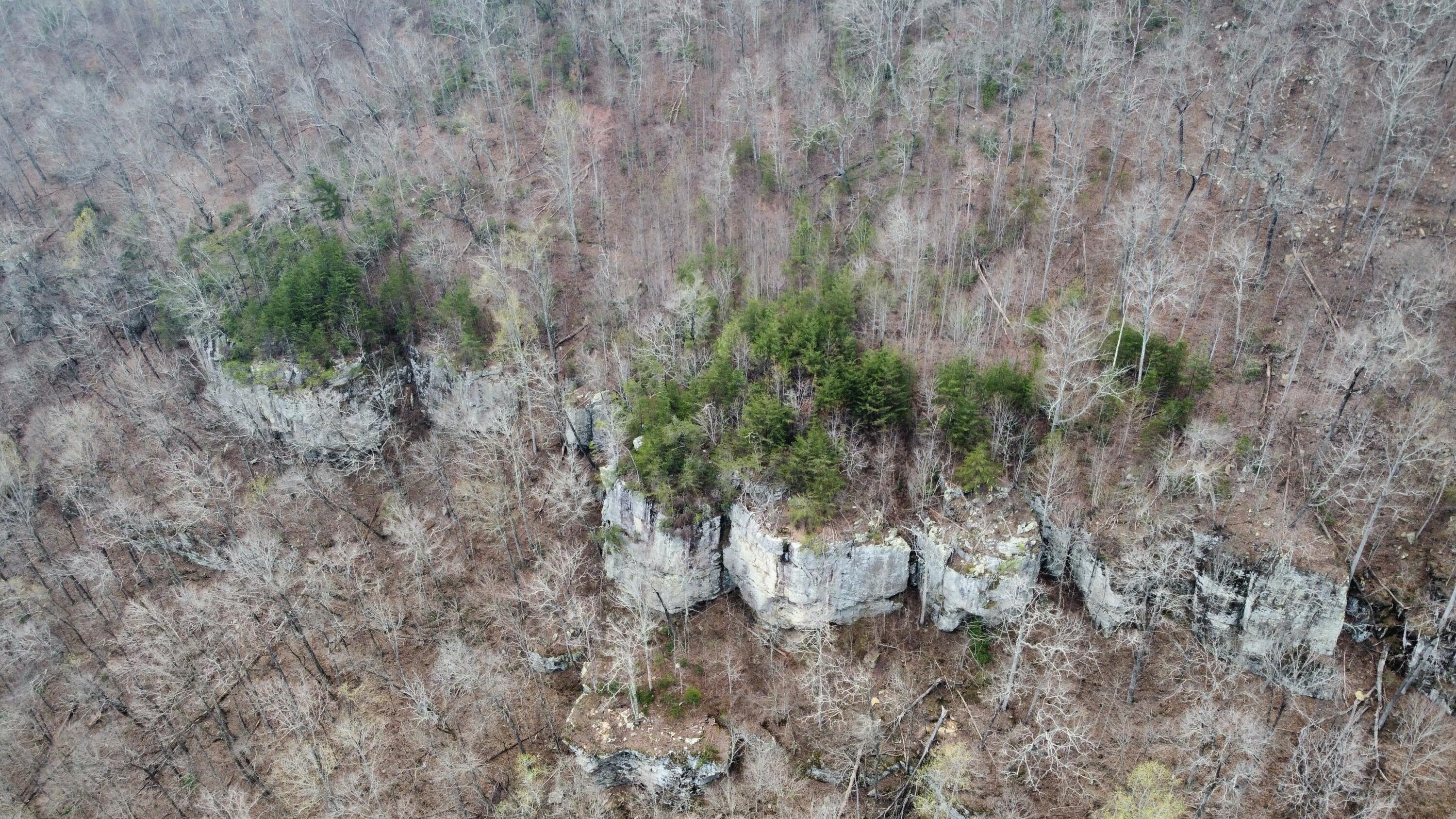 1211 Stooping Oak Road West Dunlap, TN 37327 - Photo 97 of 112 Photo Mar 27 2026, 12 58 33 PM (11)