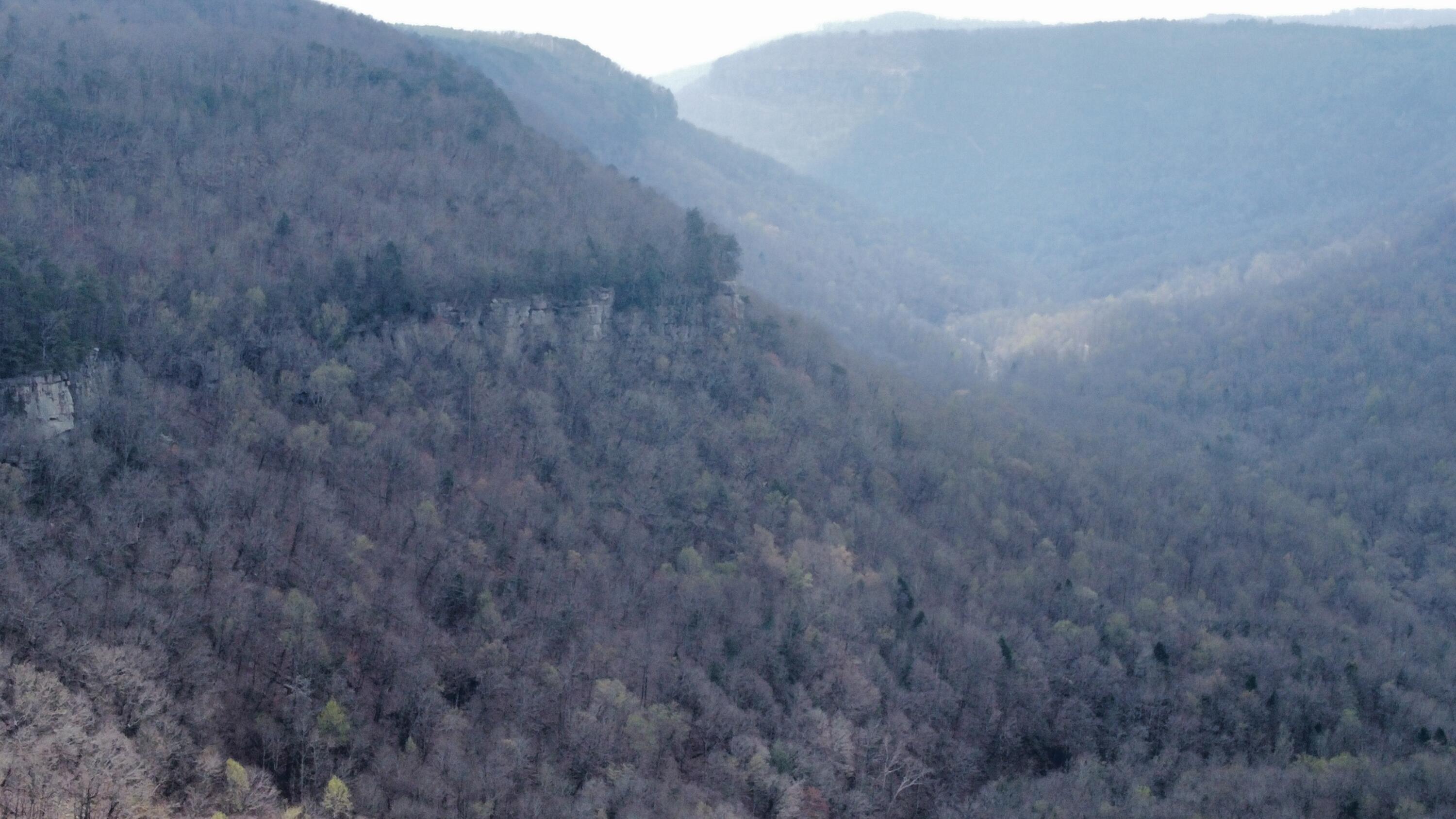 1211 Stooping Oak Road West Dunlap, TN 37327 - Photo 98 of 112 Photo Mar 27 2026, 12 58 33 PM (12)