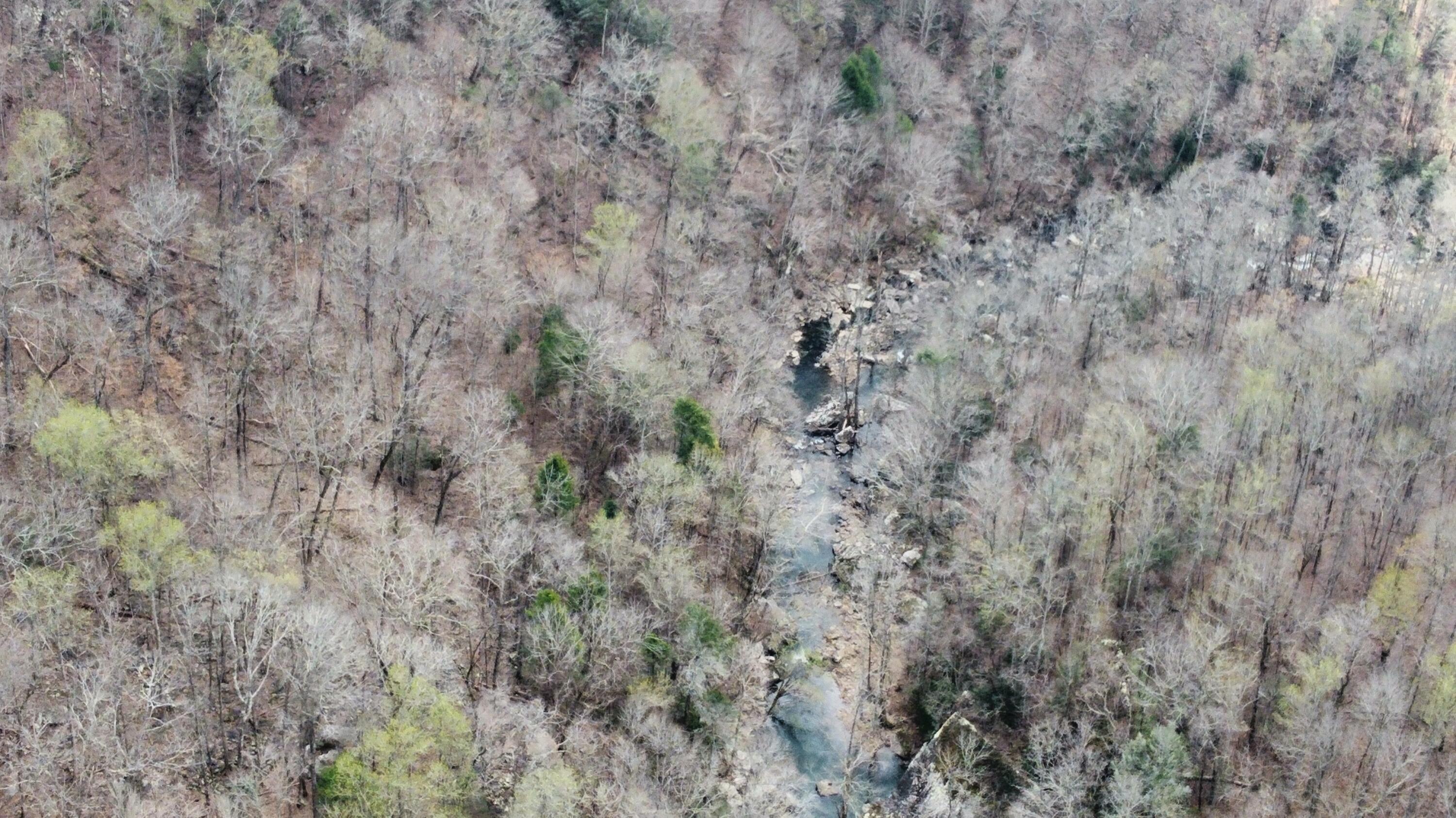 1211 Stooping Oak Road West Dunlap, TN 37327 - Photo 99 of 112 Photo Mar 27 2026, 12 58 33 PM (13)