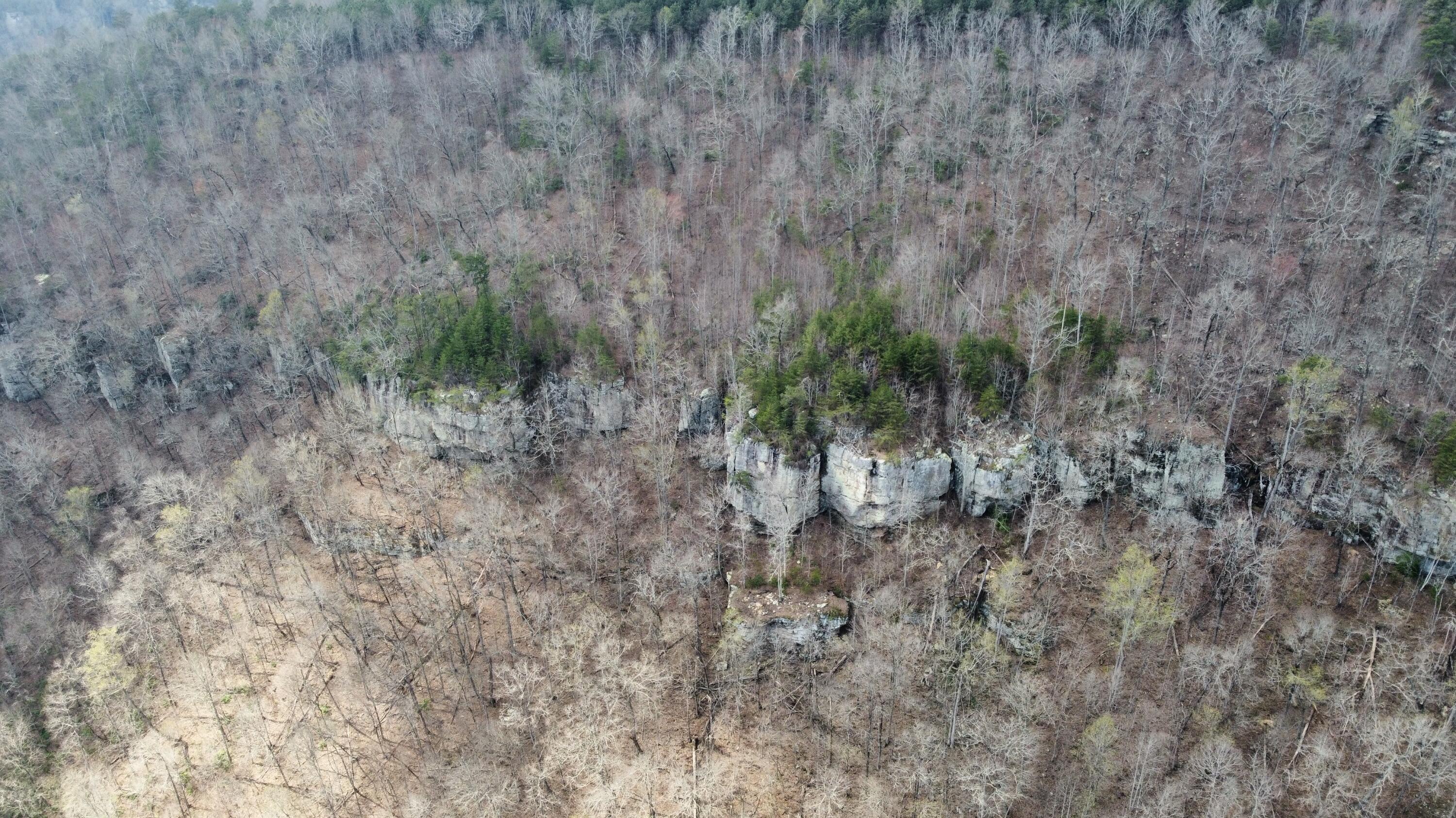 1211 Stooping Oak Road West Dunlap, TN 37327 - Photo 100 of 112 Photo Mar 27 2026, 12 58 33 PM (14)