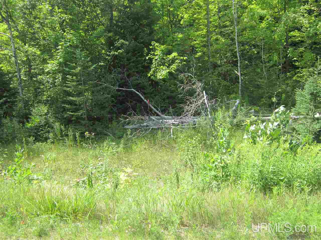 N4227 Et Road Eben Junction, MI 49816 - Photo 20 of 21