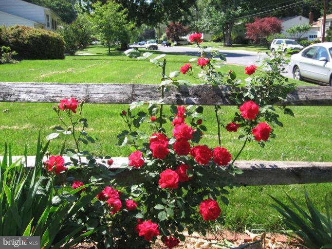 219 Rolling Road Gaithersburg, MD 20877 - Photo 22 of 22 GARDENS ABOUND!