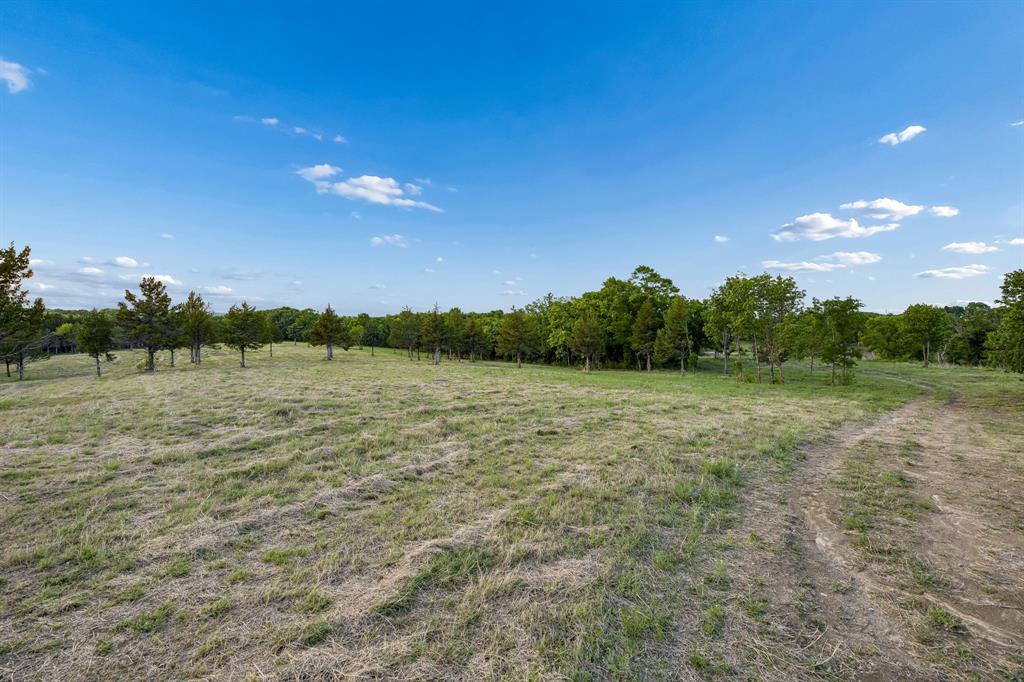 Tbd Ward Neal Road Bells, TX 75414 - Photo 17 of 20