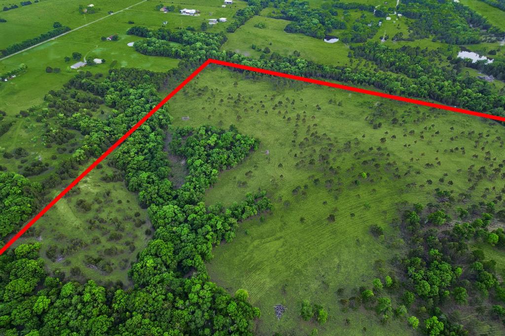 Tbd Ward Neal Road Bells, TX 75414 - Photo 4 of 20