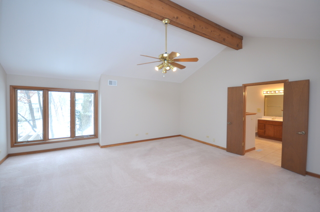 421 Delaware Circle Bolingbrook, IL 60440 - Photo 13 of 23