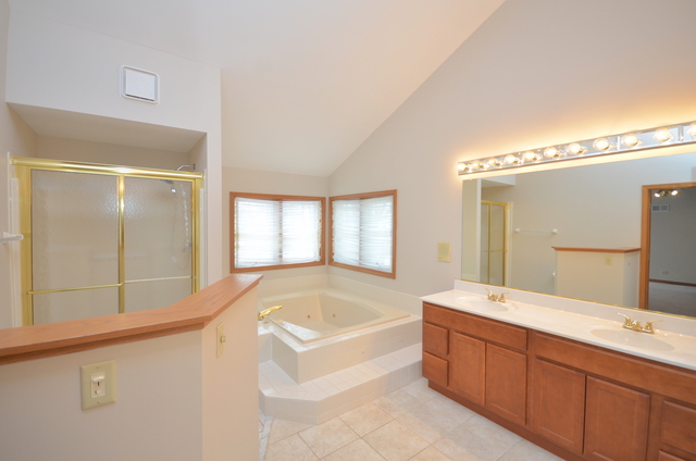 421 Delaware Circle Bolingbrook, IL 60440 - Photo 15 of 23