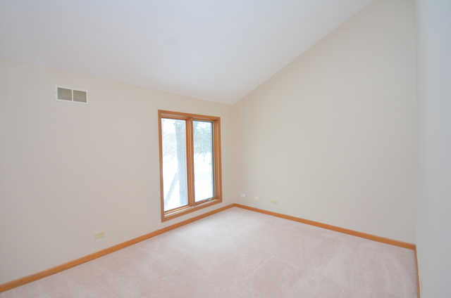 421 Delaware Circle Bolingbrook, IL 60440 - Photo 17 of 23